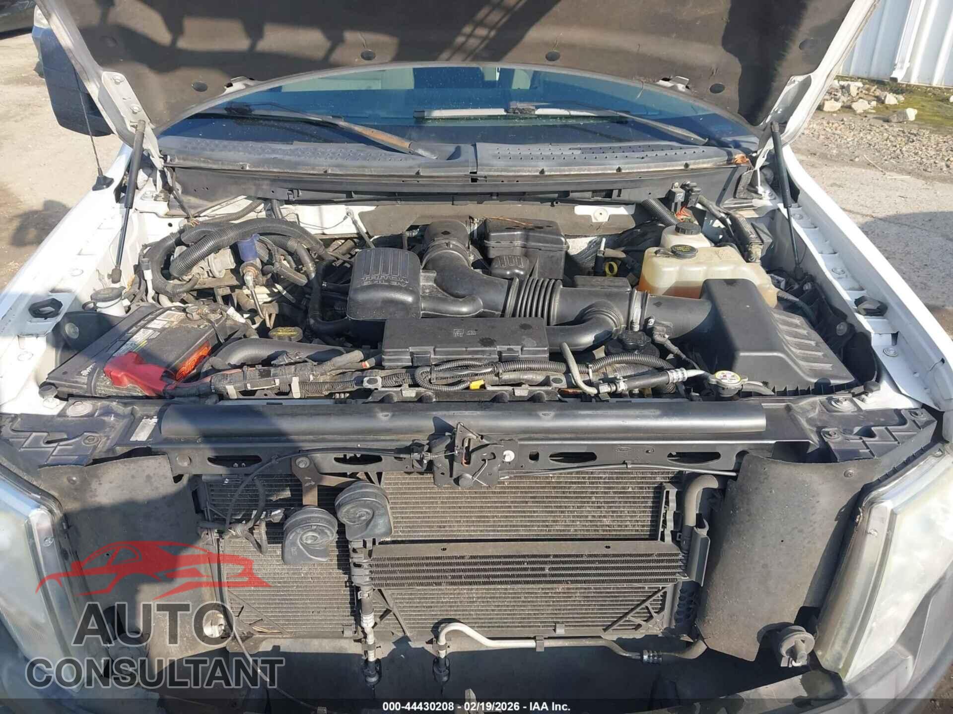 FORD F-150 2010 - 1FTVX1CV5AKE39702