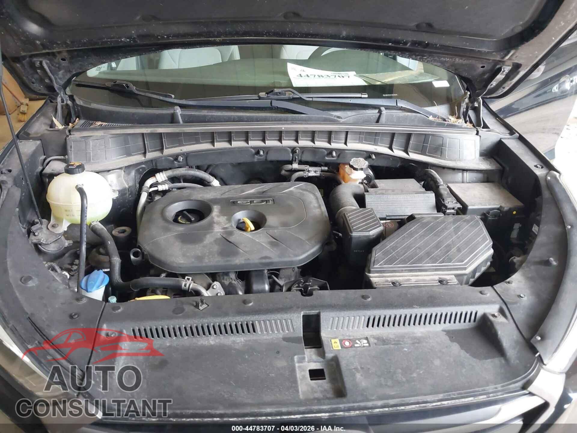 HYUNDAI TUCSON 2016 - KM8J3CA41GU134299