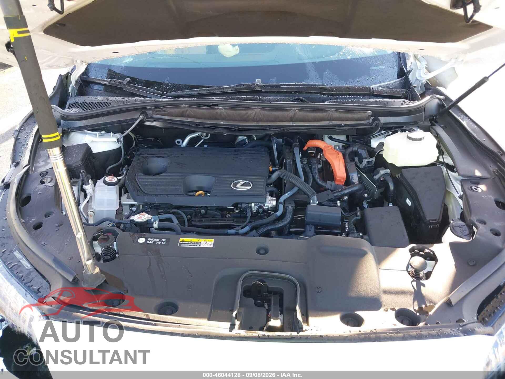 LEXUS RX 350H 2026 - 2T2BBMCA7TC148067