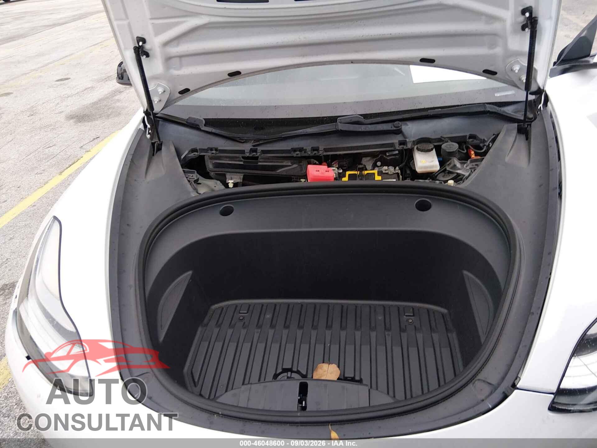 TESLA MODEL 3 2021 - 5YJ3E1EA7MF852116