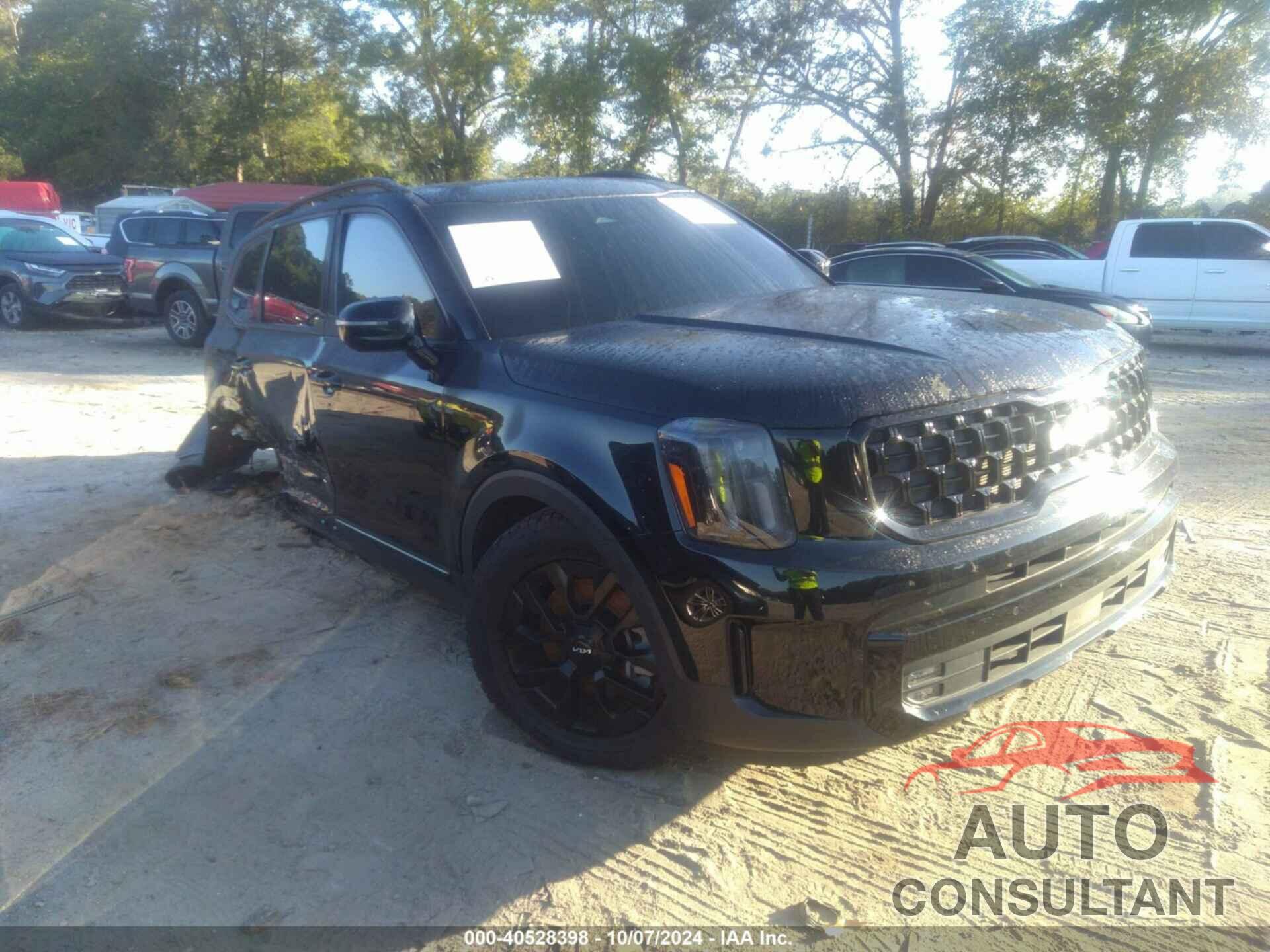 KIA TELLURIDE 2024 - 5XYP5DGC5RG425261