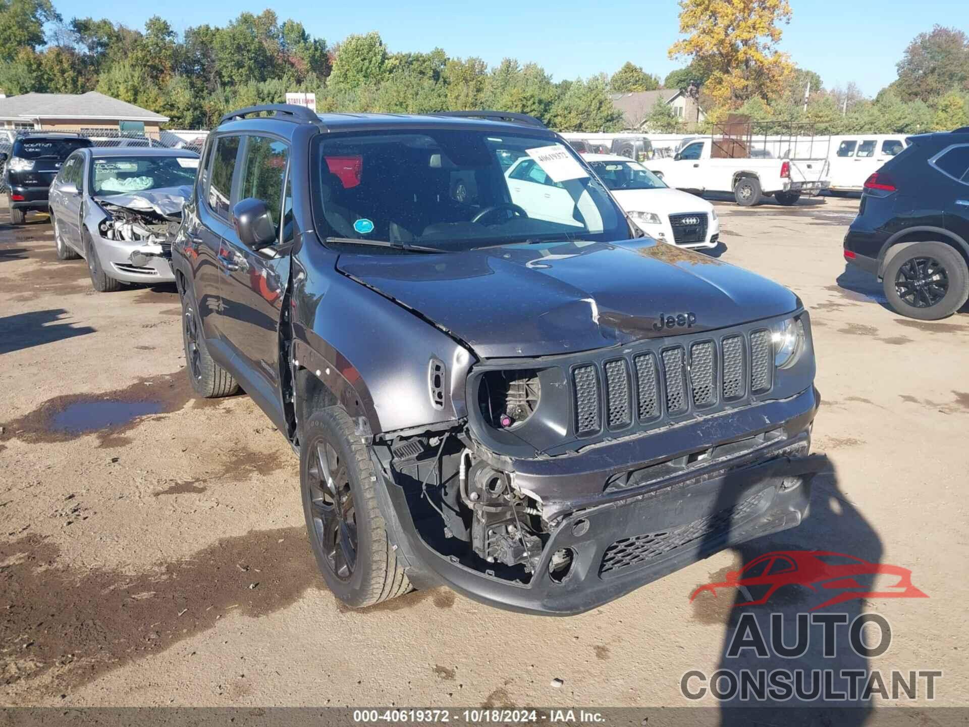 JEEP RENEGADE 2019 - ZACNJBBB3KPK04976