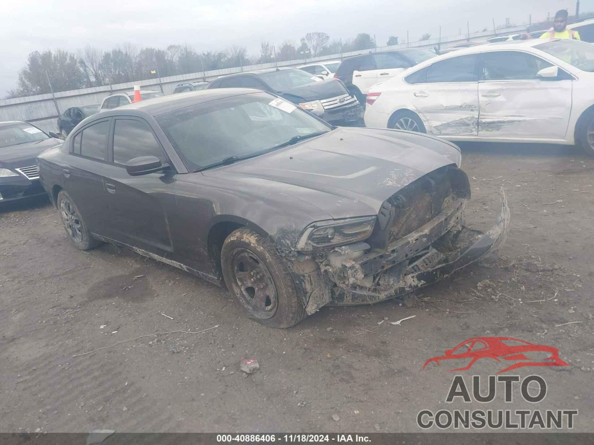 DODGE CHARGER 2013 - 2C3CDXAT4DH542758