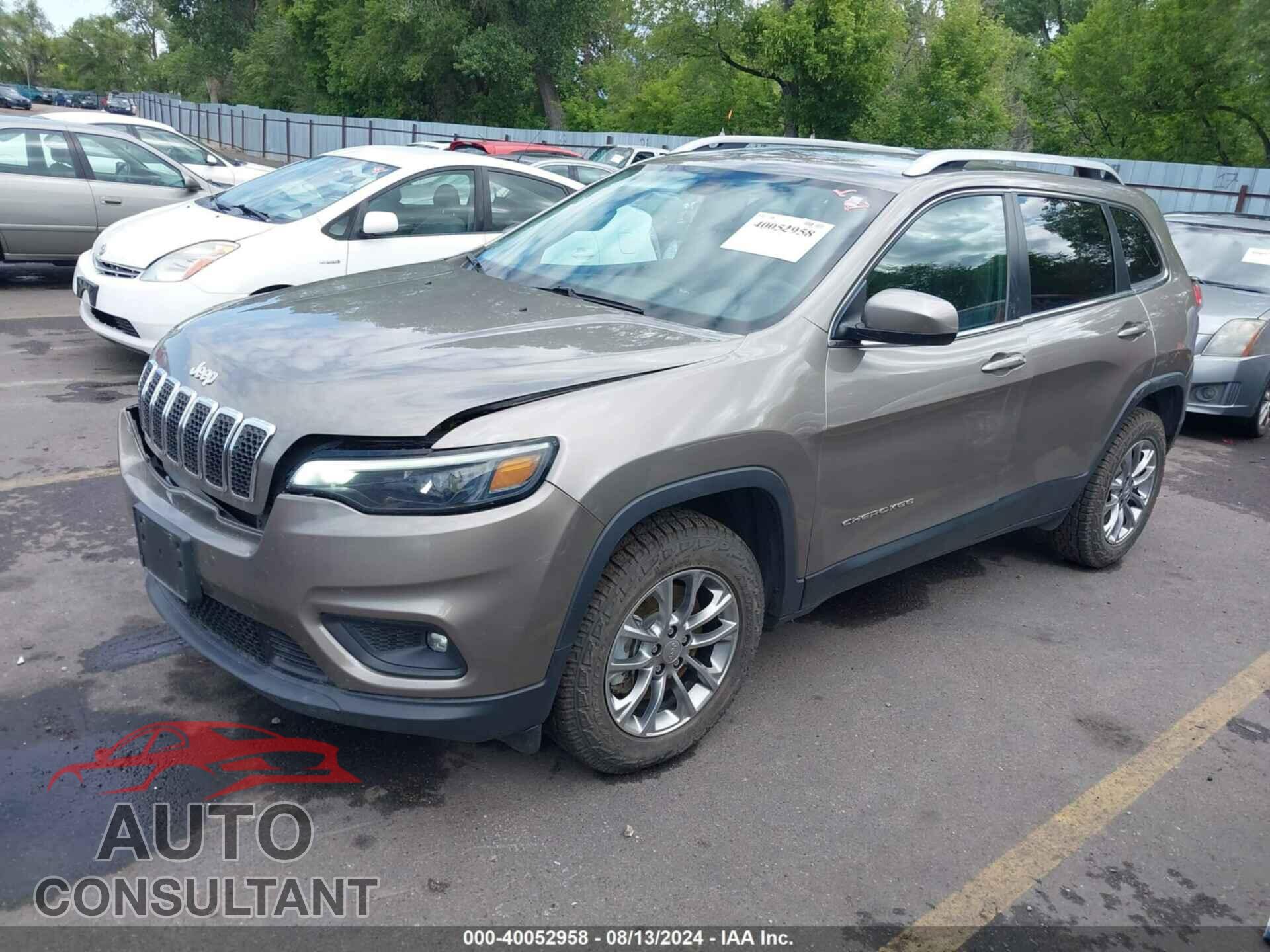 JEEP CHEROKEE 2019 - 1C4PJMLN9KD211655
