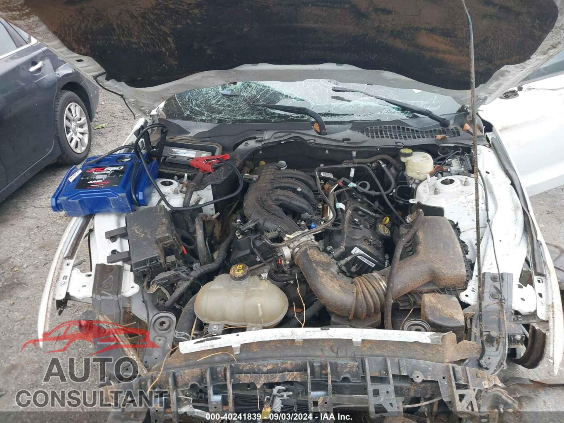 FORD MUSTANG 2017 - 1FA6P8AM4H5255728