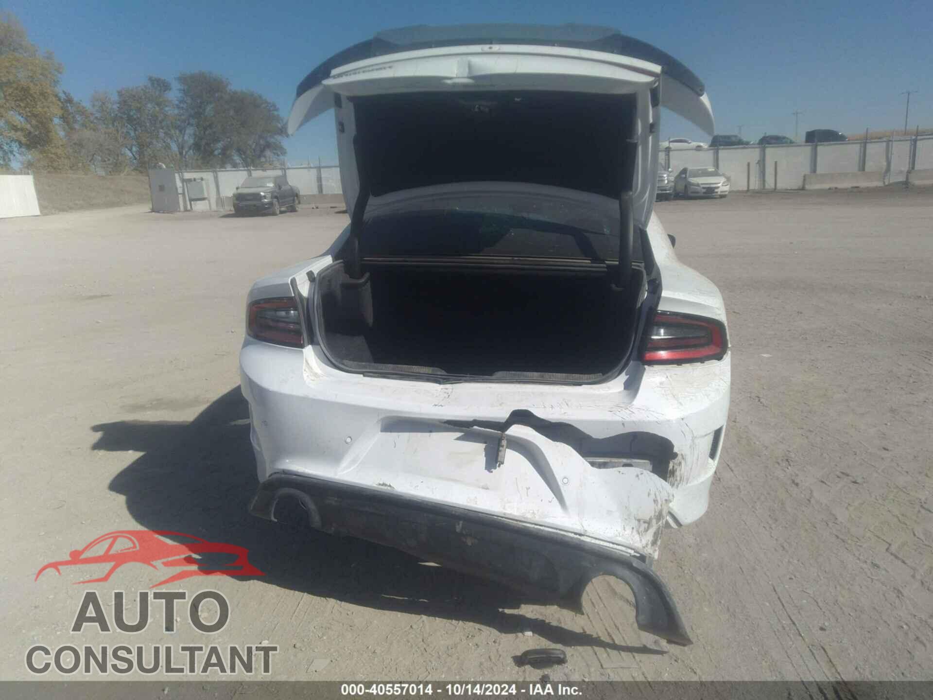 DODGE CHARGER 2019 - 2C3CDXCT5KH630020