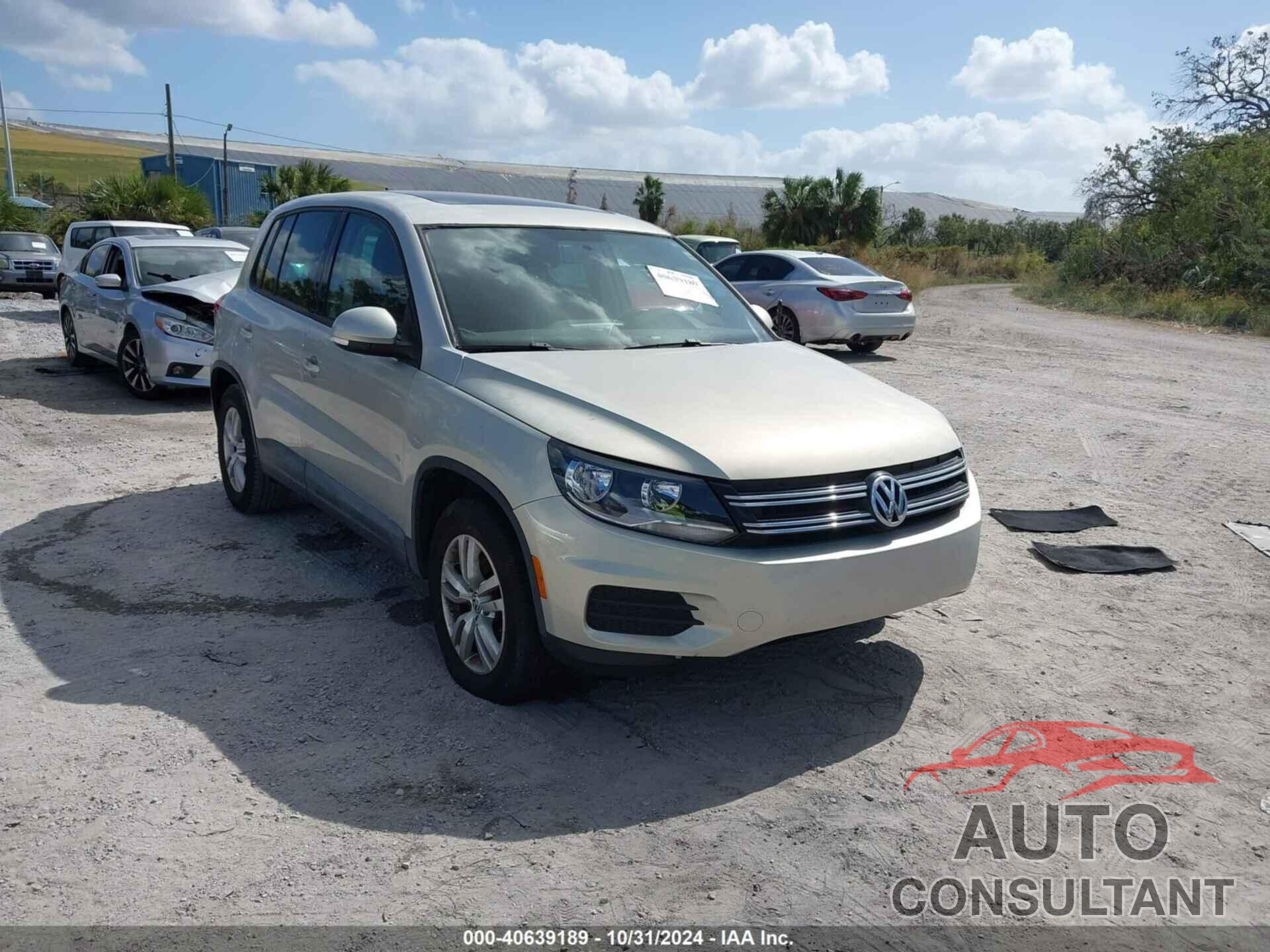 VOLKSWAGEN TIGUAN 2013 - WVGAV7AX8DW532198