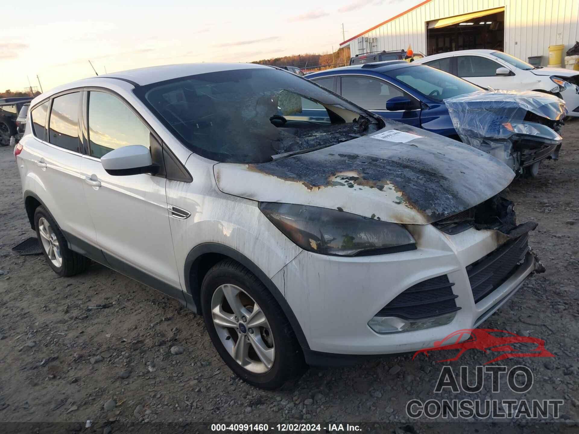 FORD ESCAPE 2014 - 1FMCU9GX4EUC76900