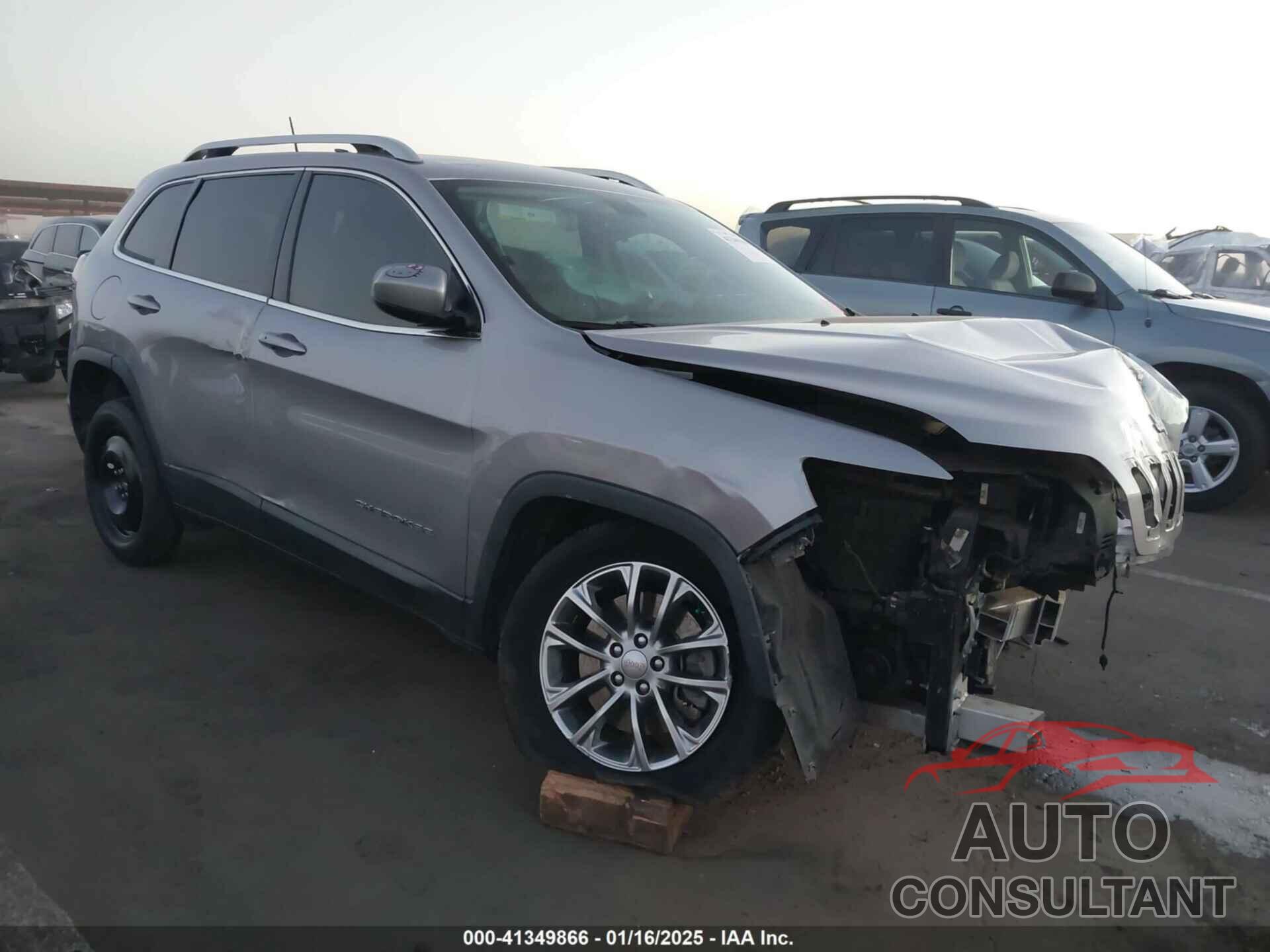 JEEP CHEROKEE 2019 - 1C4PJLLB1KD226232