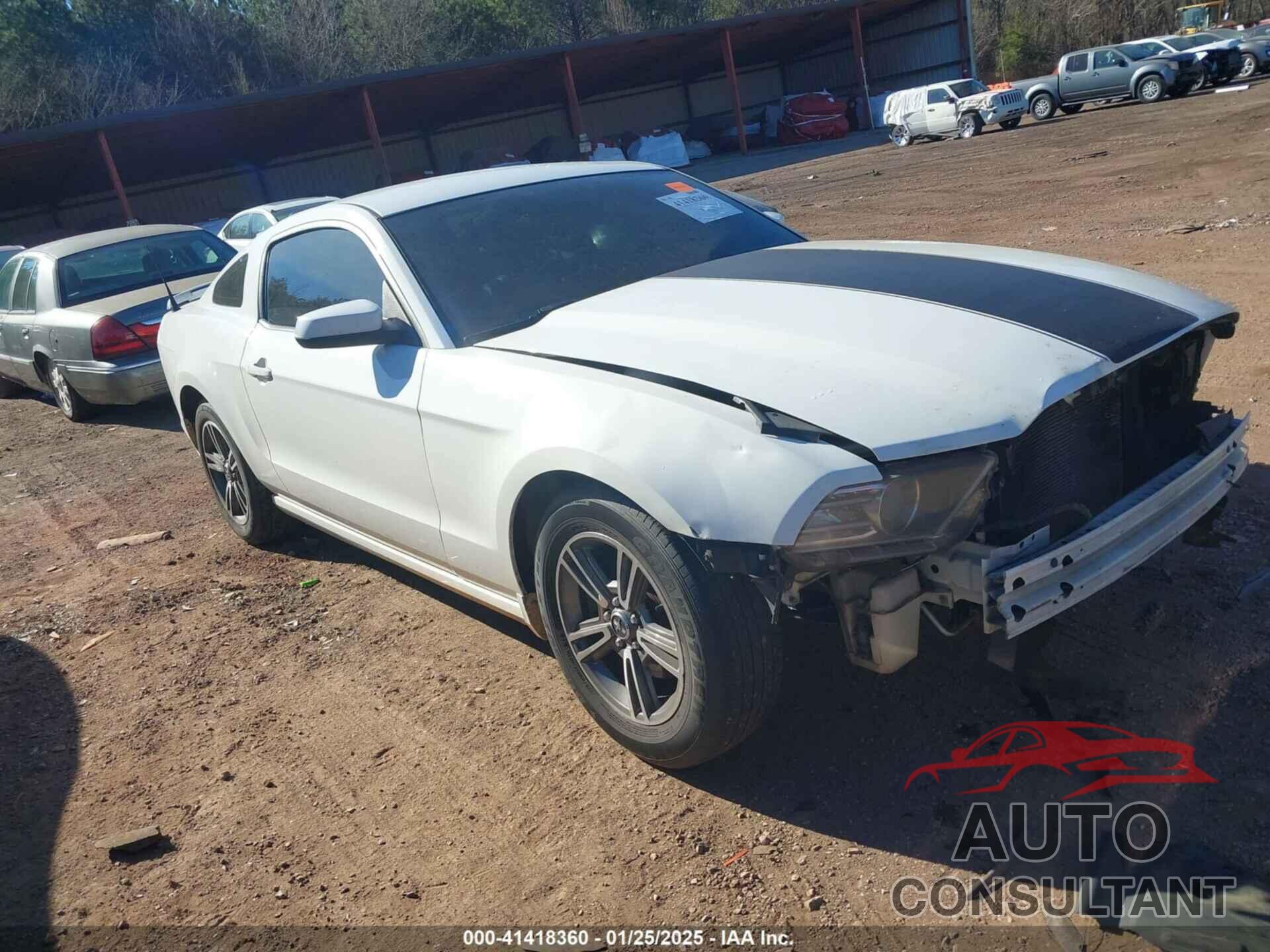 FORD MUSTANG 2013 - 1ZVBP8AM5D5233866