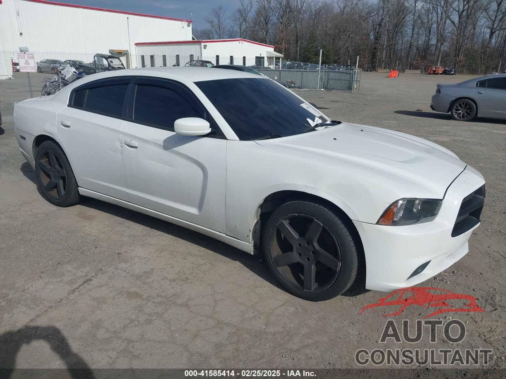 DODGE CHARGER 2014 - 2C3CDXAT1EH245576