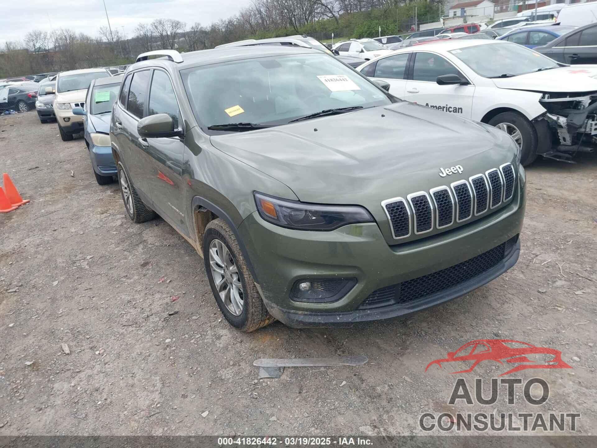 JEEP CHEROKEE 2019 - 1C4PJLLB0KD248397