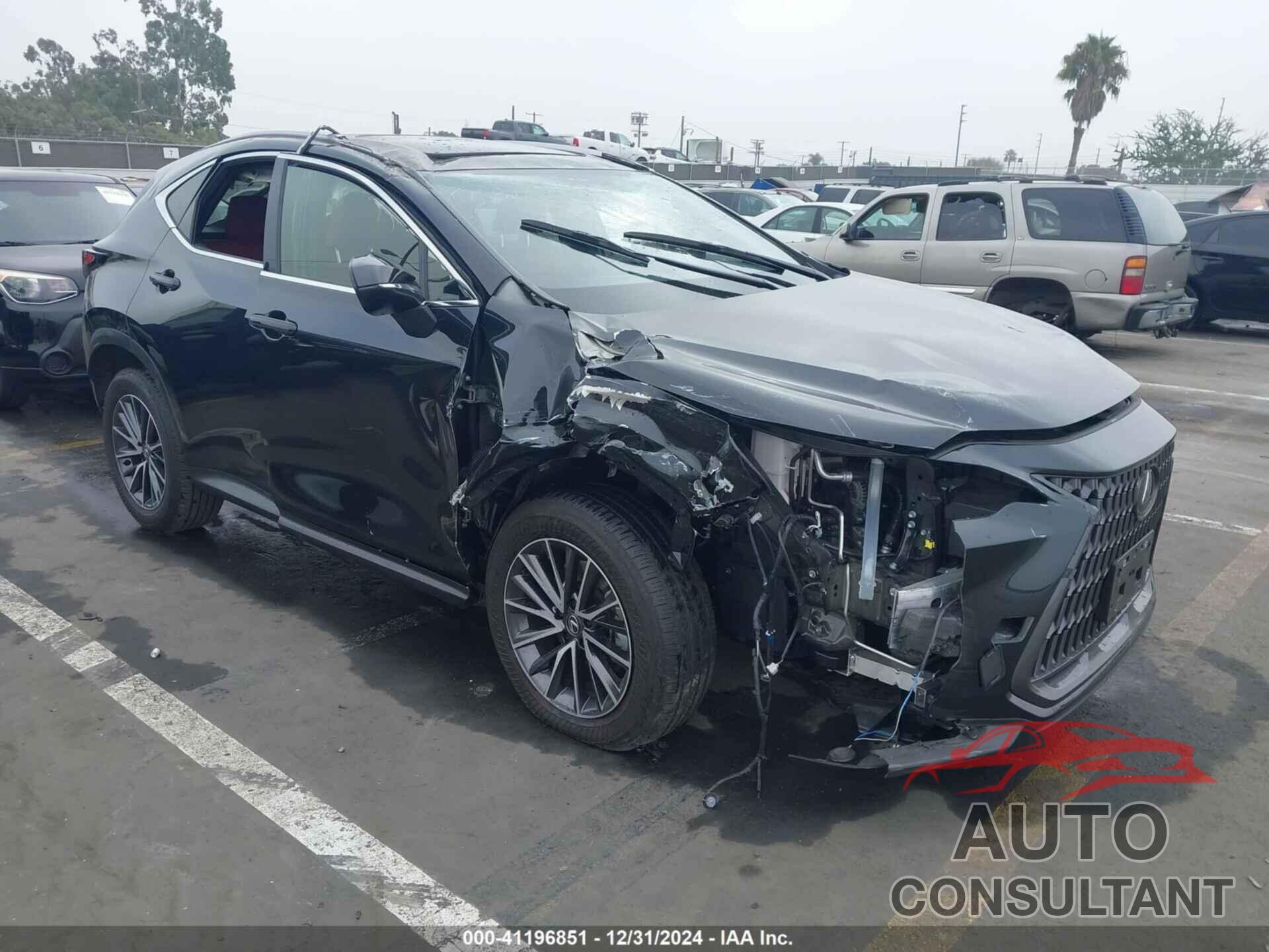 LEXUS NX 250 2024 - JTJADCAZ4R5020935