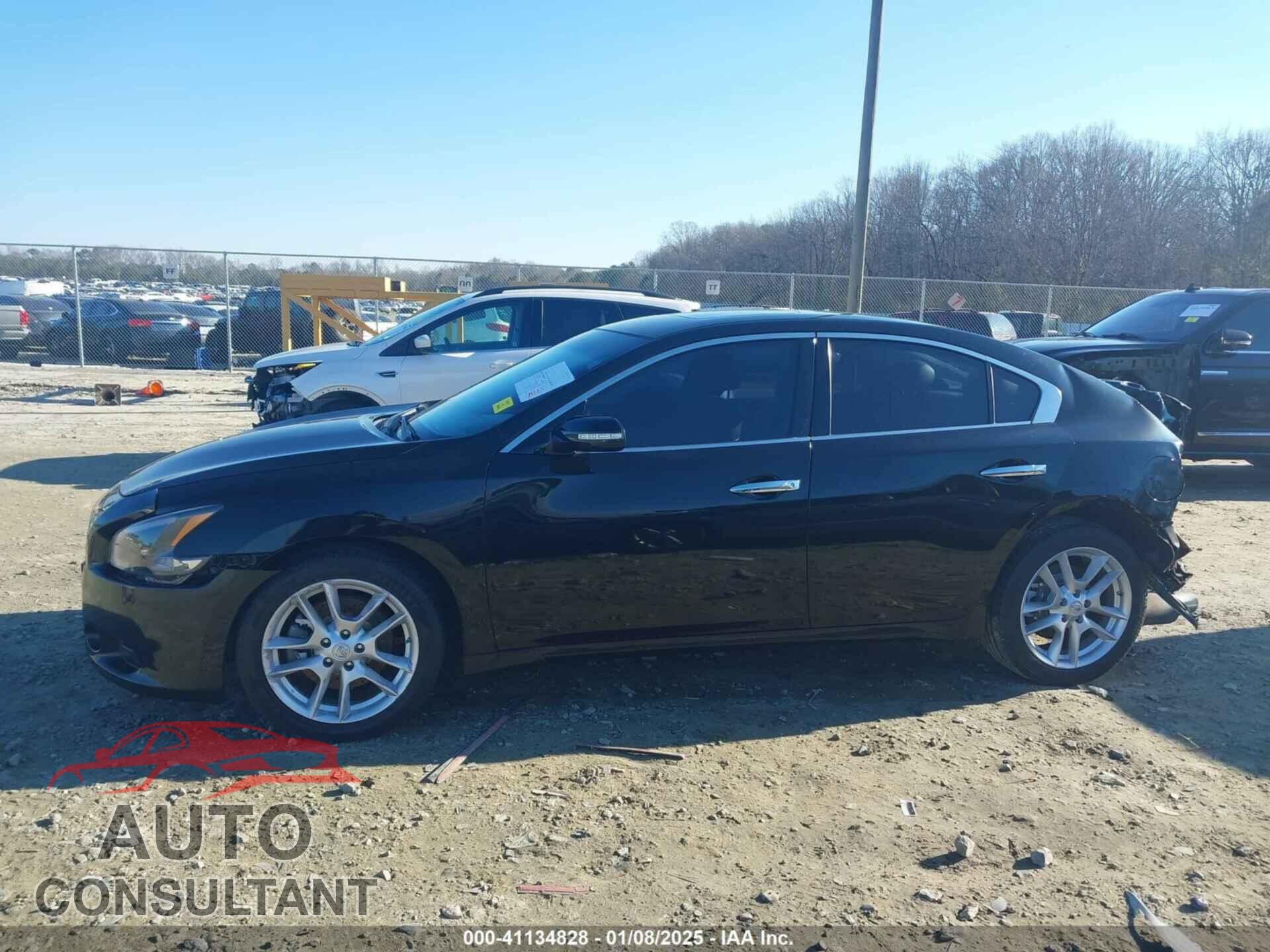 NISSAN MAXIMA 2011 - 1N4AA5AP8BC842229