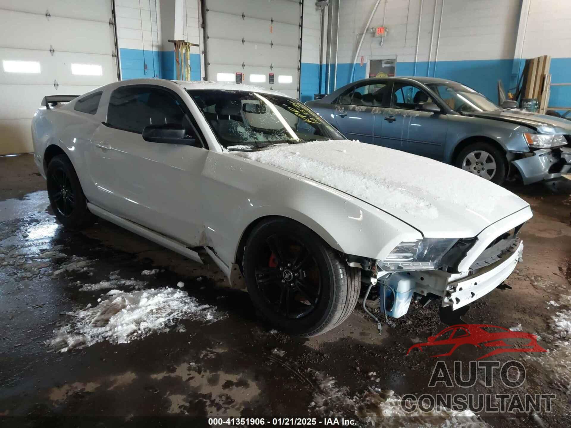 FORD MUSTANG 2014 - 1ZVBP8AM4E5290724