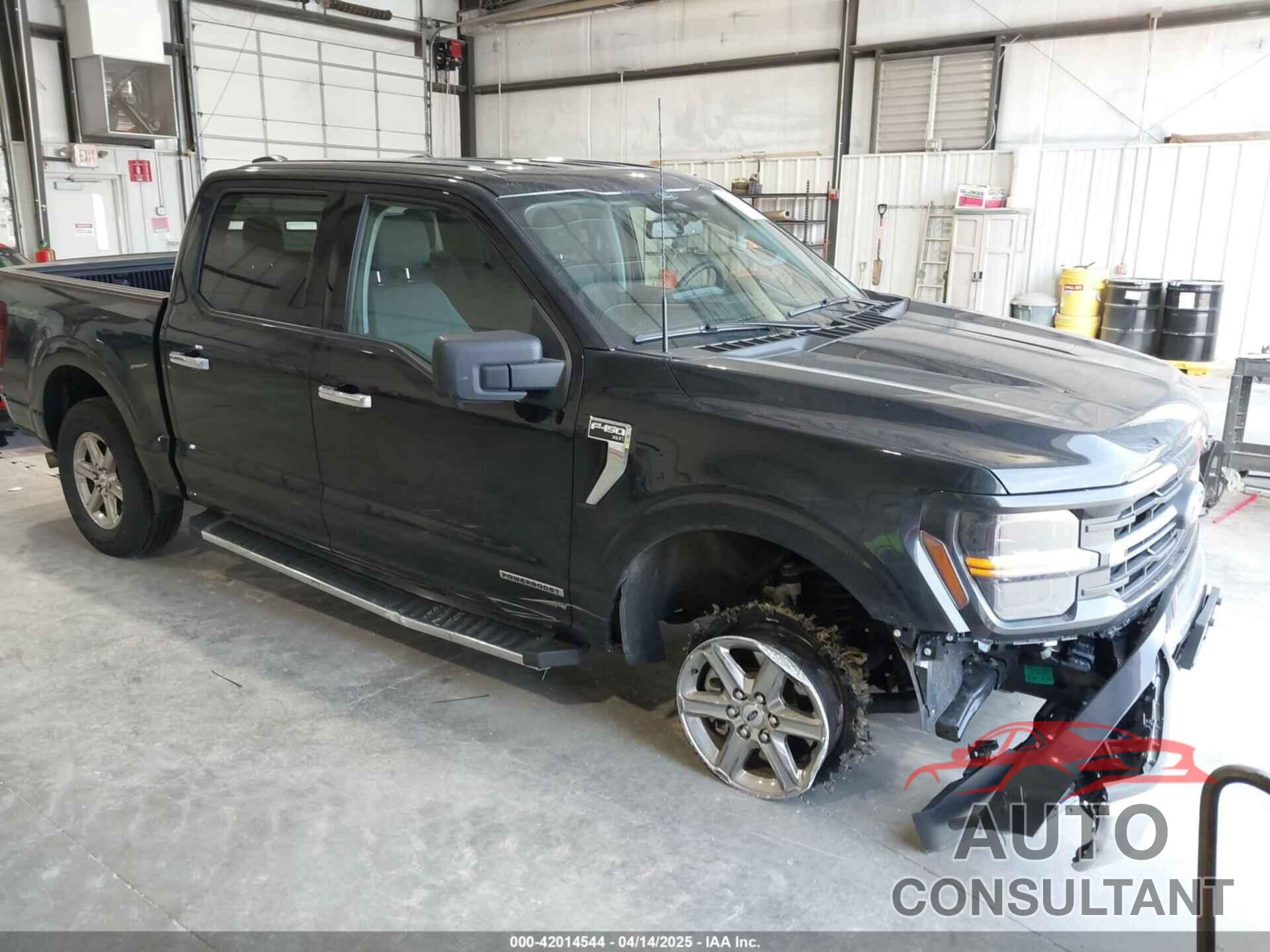 FORD F-150 2024 - 1FTFW3LD1RFA25296