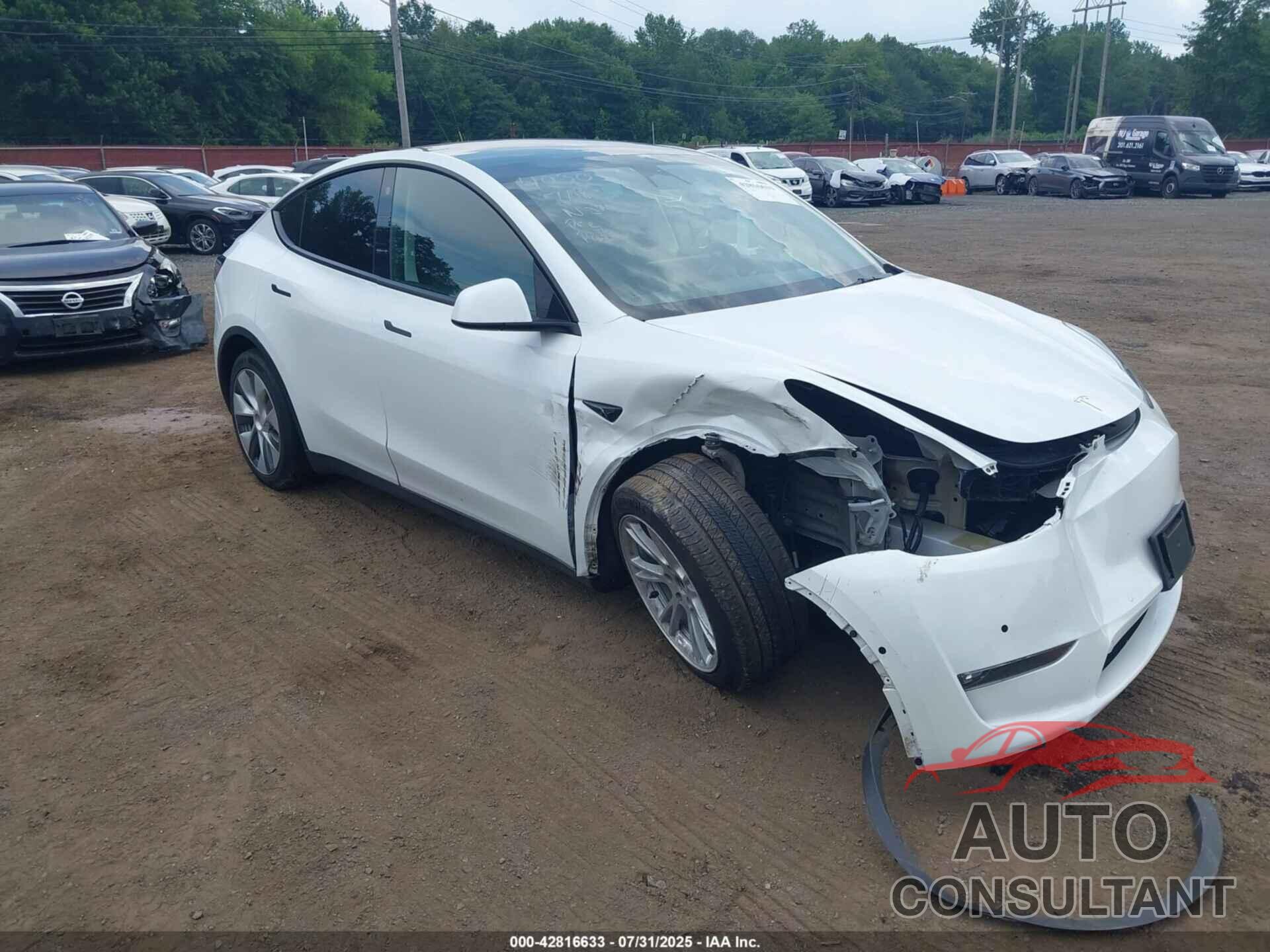 TESLA MODEL Y 2023 - 7SAYGAEE9PF585491