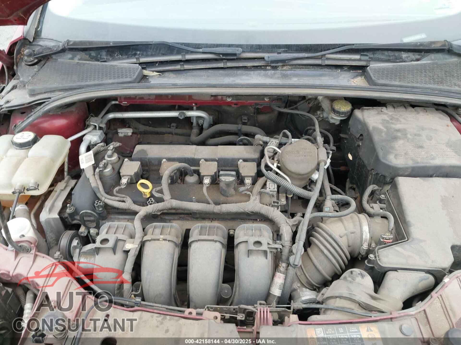 FORD FOCUS 2016 - 1FADP3F28GL254321