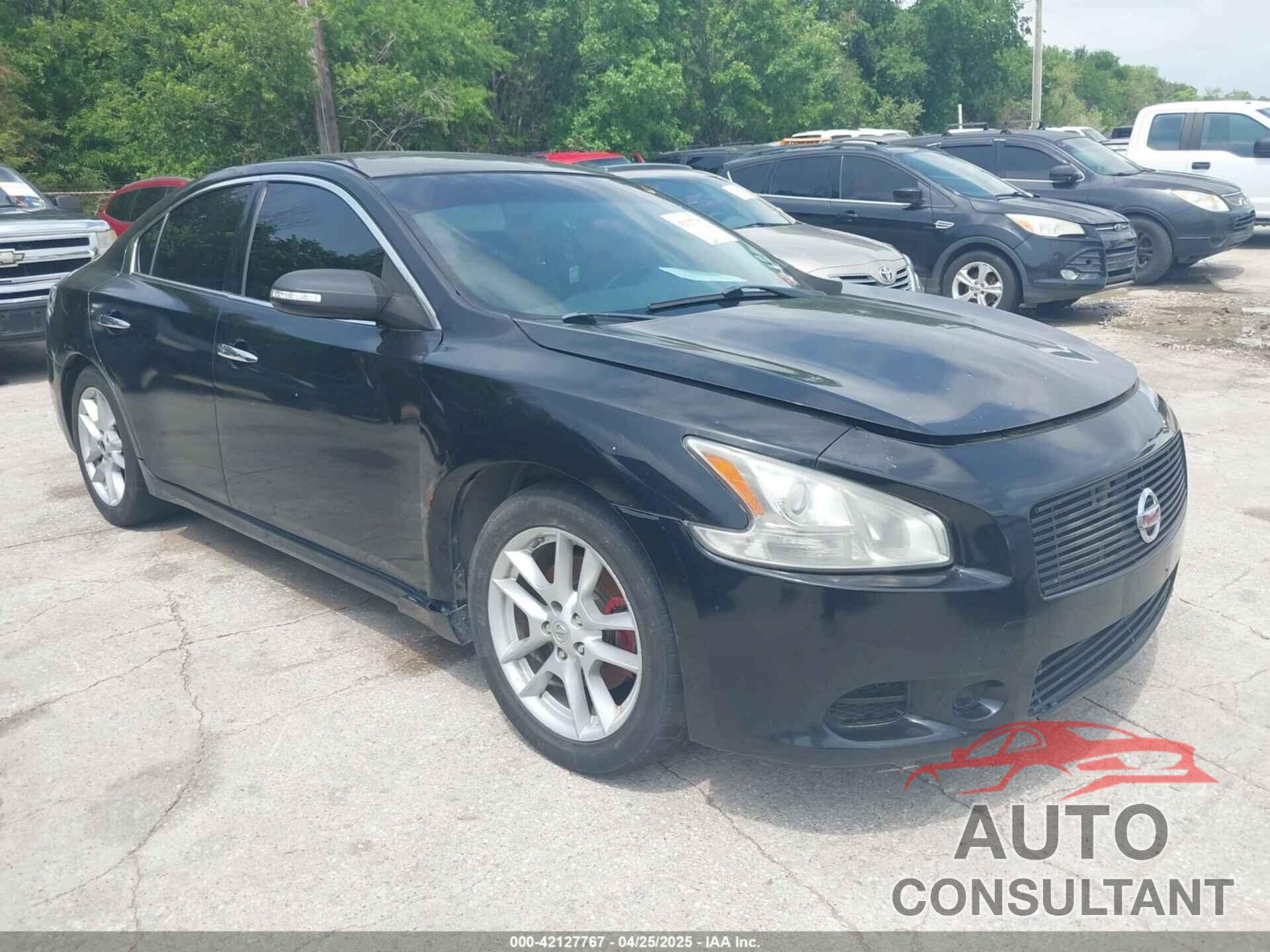 NISSAN MAXIMA 2013 - 1N4AA5AP3DC830542