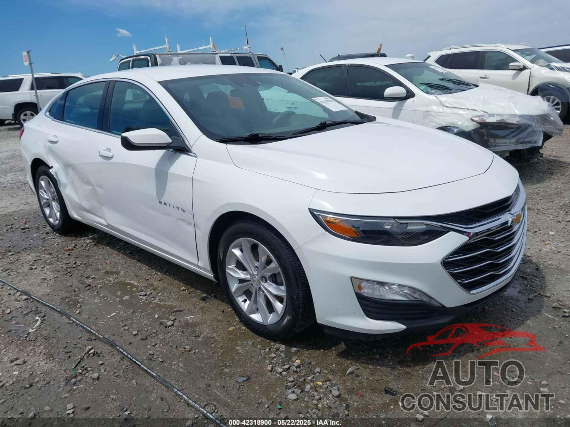 CHEVROLET MALIBU 2023 - 1G1ZD5ST5PF143784