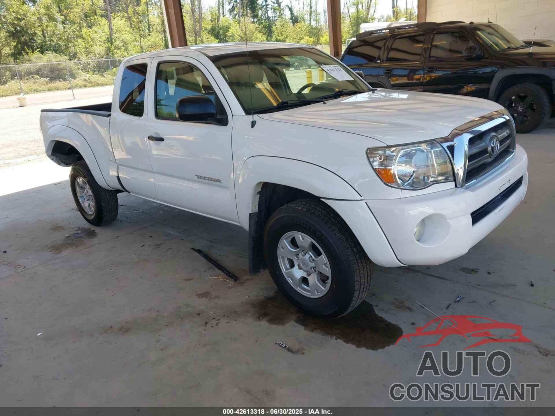 TOYOTA TACOMA 2009 - 5TEUU42N69Z634433