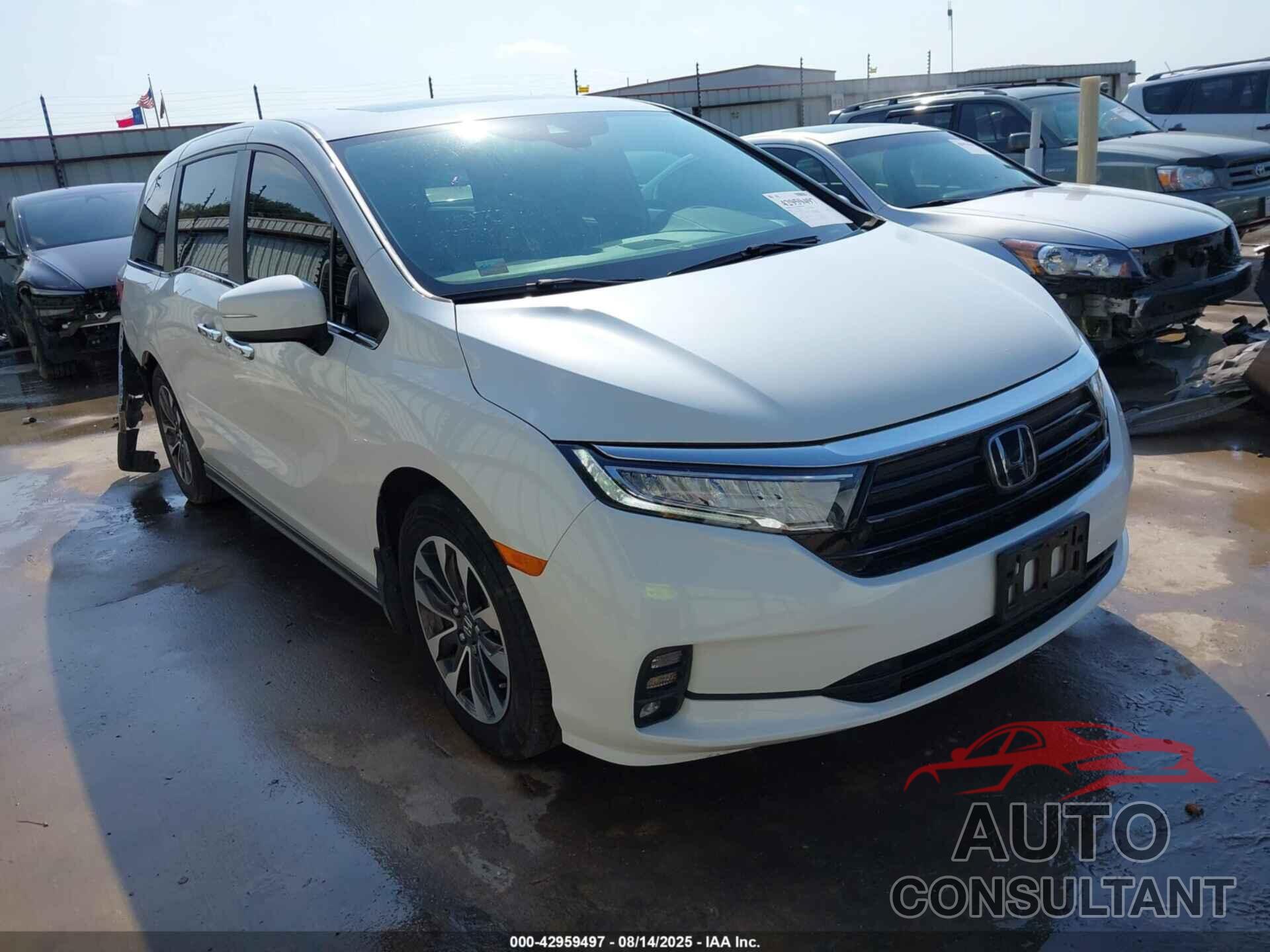 HONDA ODYSSEY 2022 - 5FNRL6H77NB063172