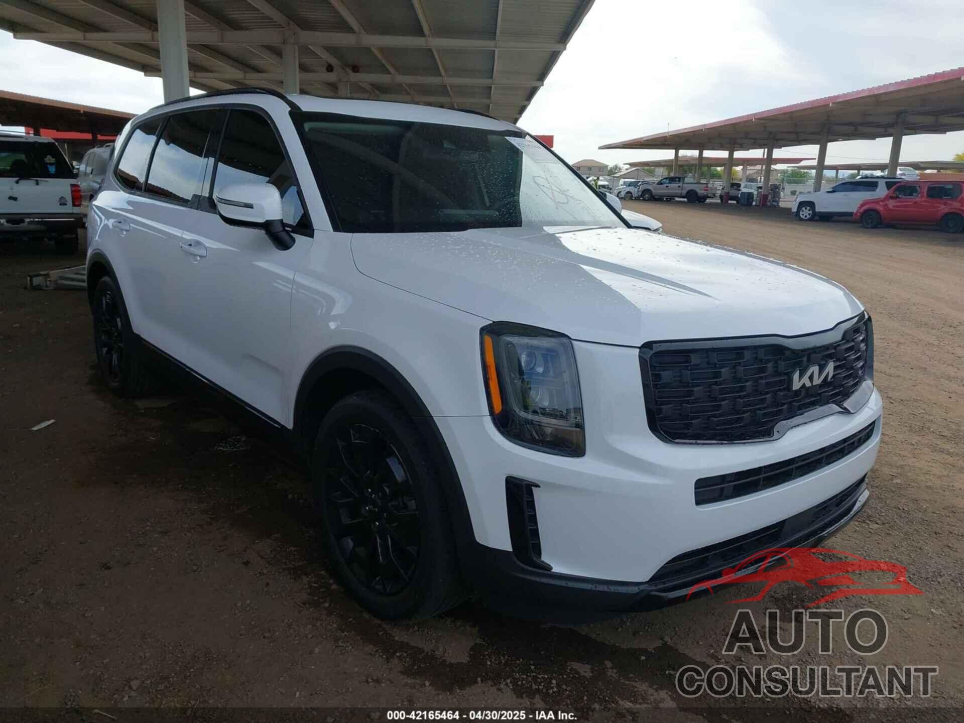 KIA TELLURIDE 2022 - 5XYP3DHC1NG262171