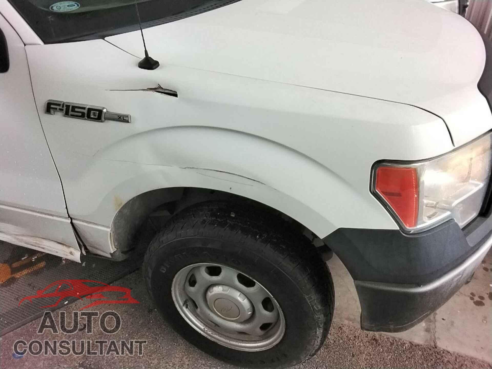 FORD F150 2013 - 1FTMF1CM8DKE89536