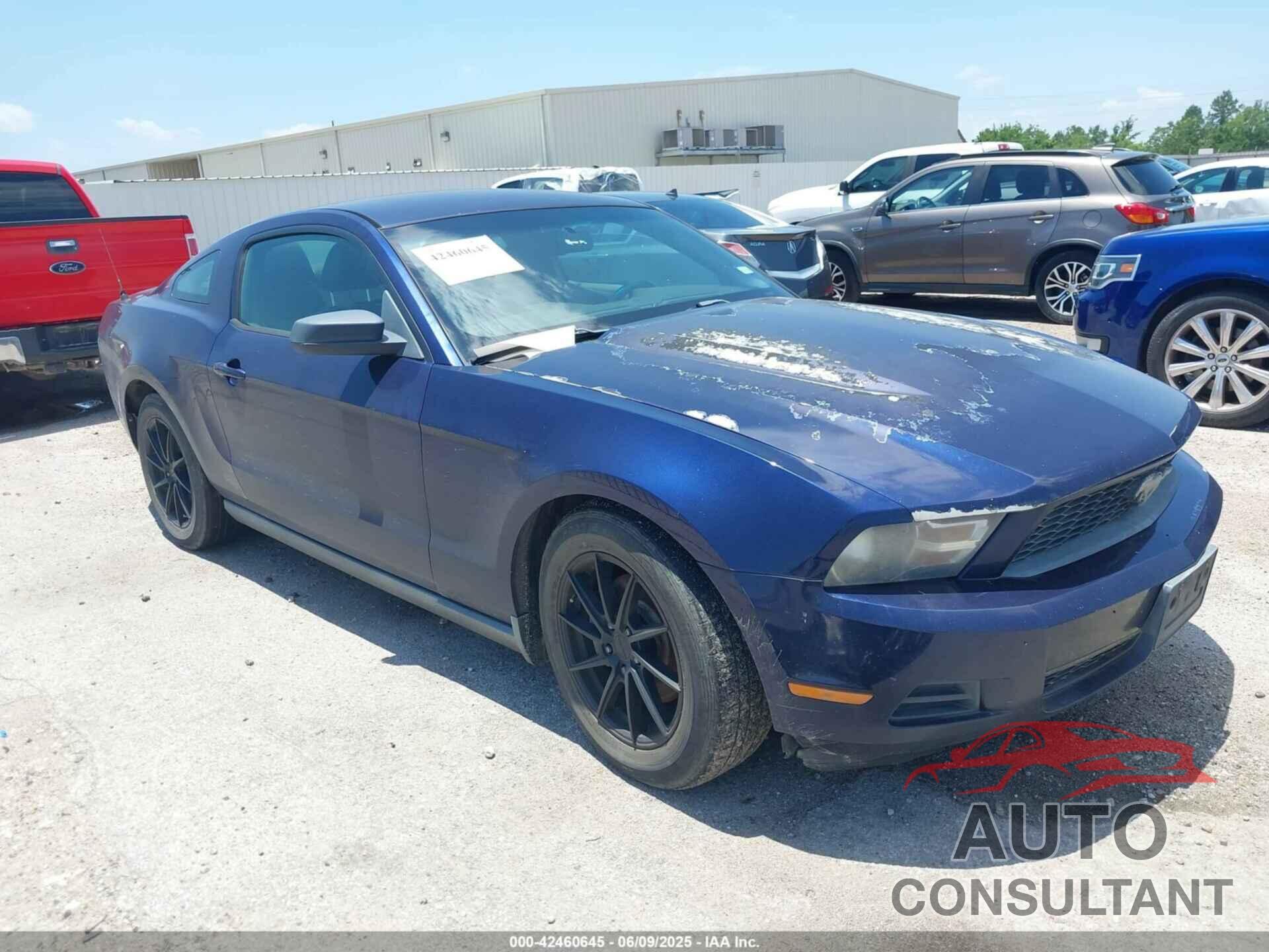 FORD MUSTANG 2011 - 1ZVBP8AM9B5138711