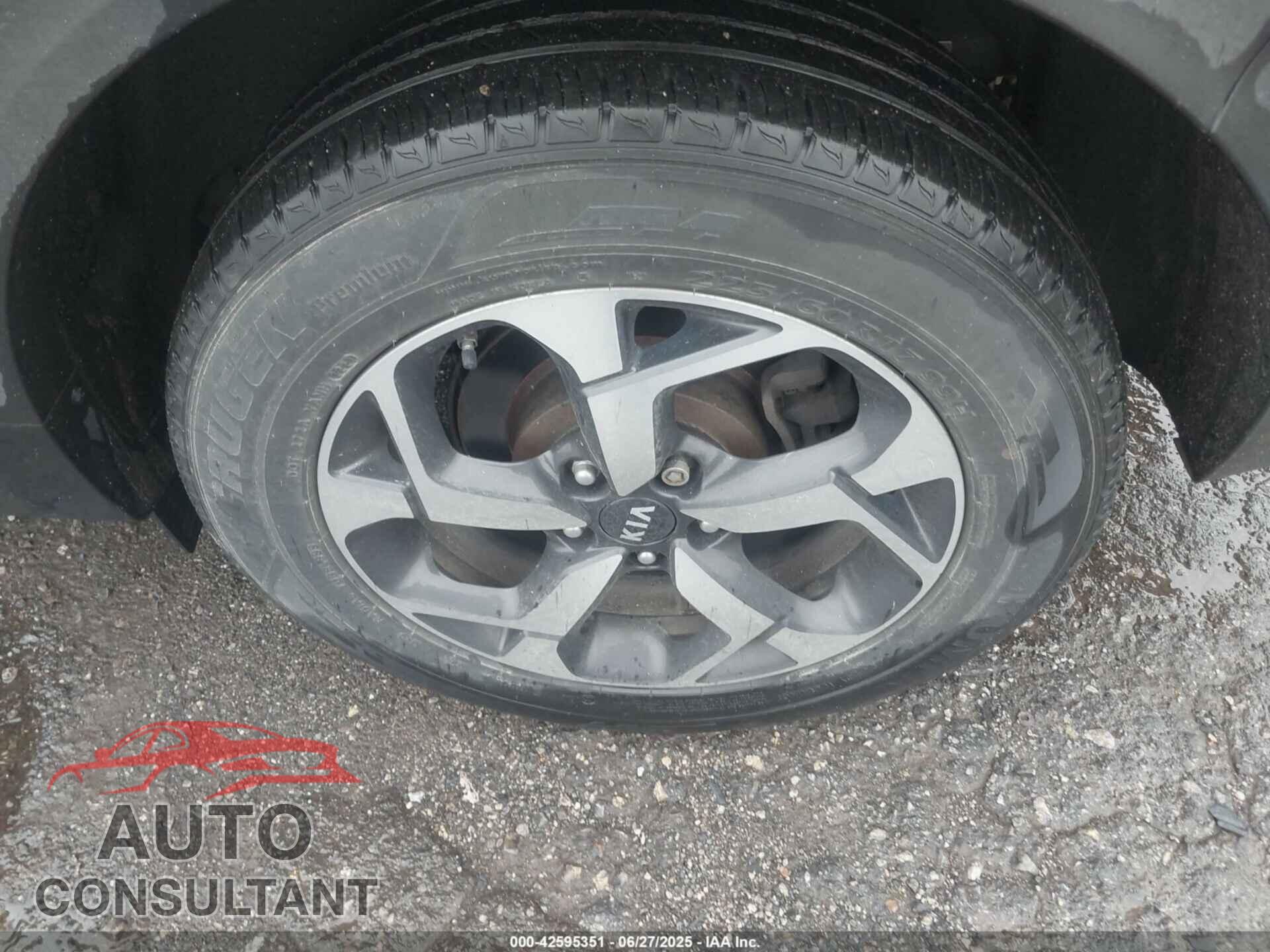 KIA SPORTAGE 2022 - KNDPMCAC3N7993473