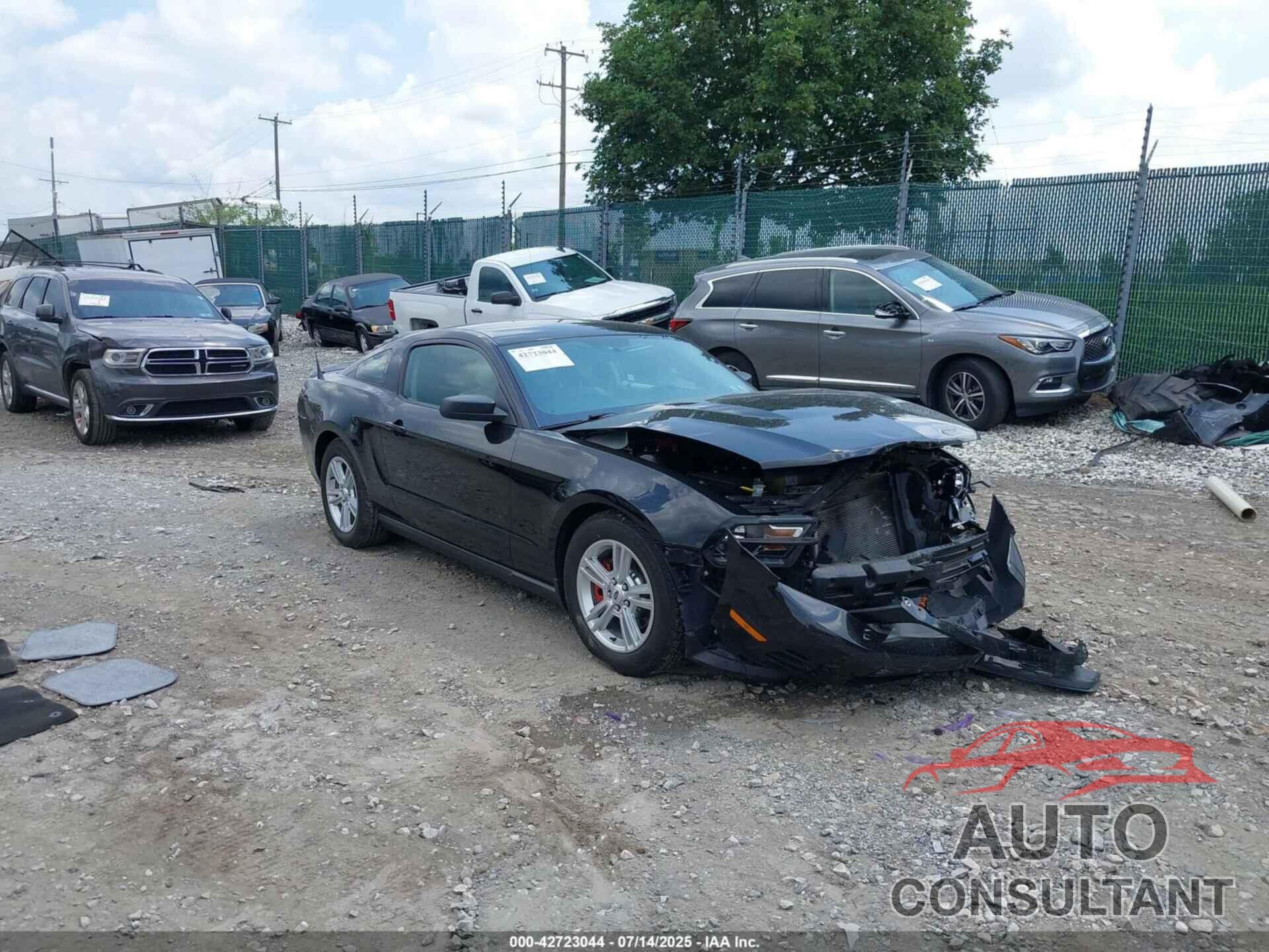FORD MUSTANG 2011 - 1ZVBP8AMXB5154447
