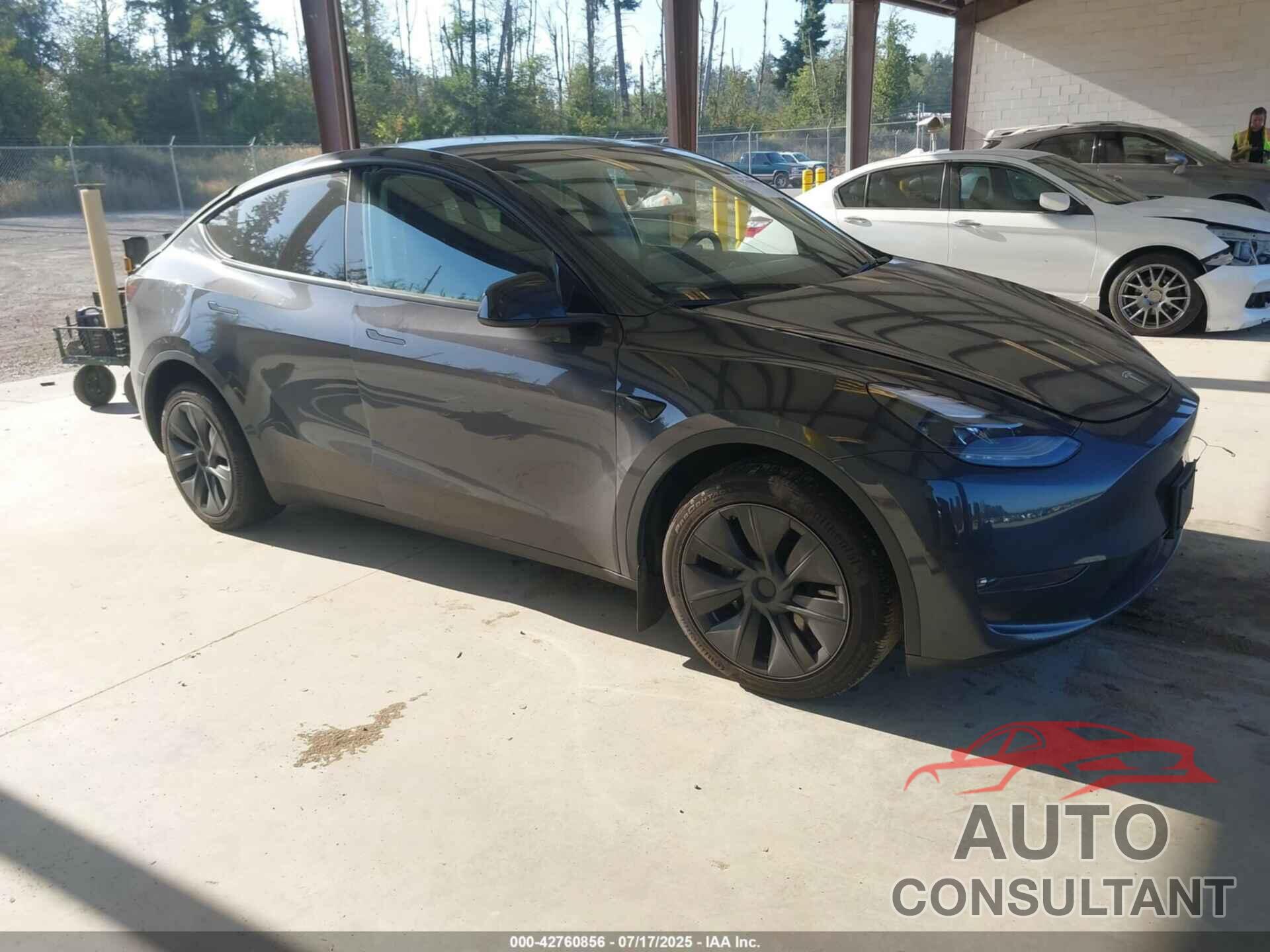 TESLA MODEL Y 2024 - 7SAYGDEE7RF153633