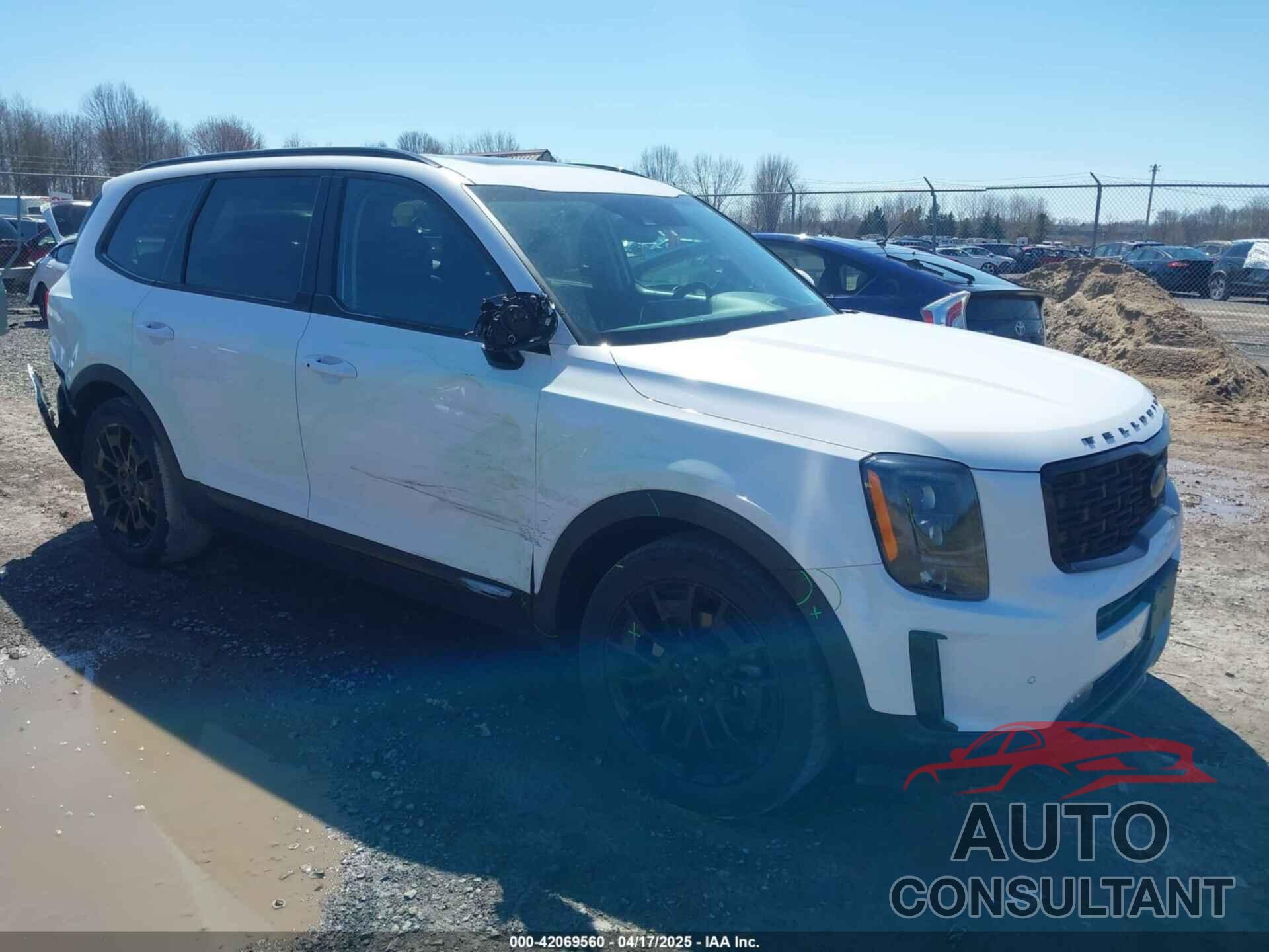 KIA TELLURIDE 2021 - 5XYP5DHC0MG145965