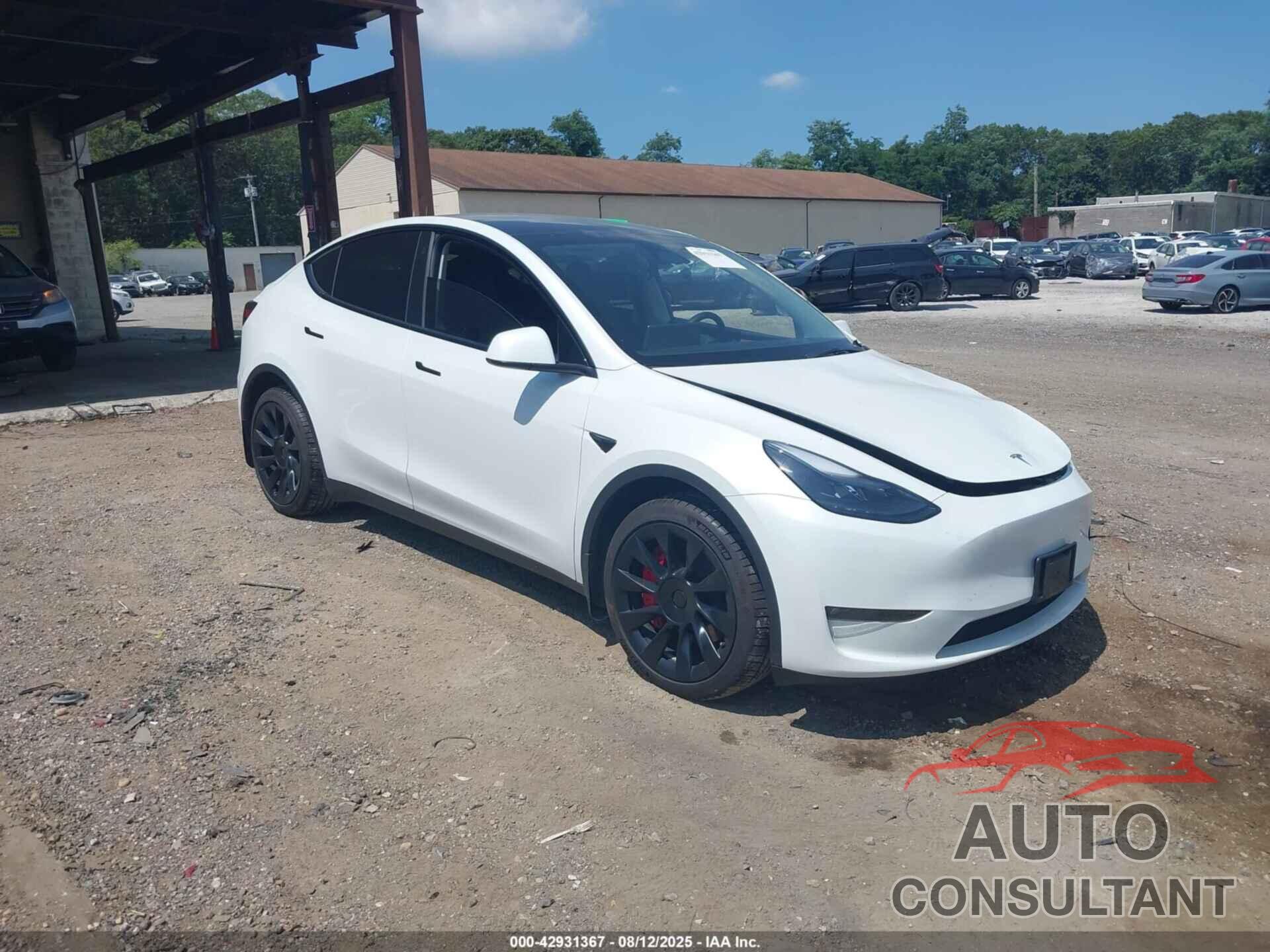 TESLA MODEL Y 2023 - 7SAYGDEE3PF691680
