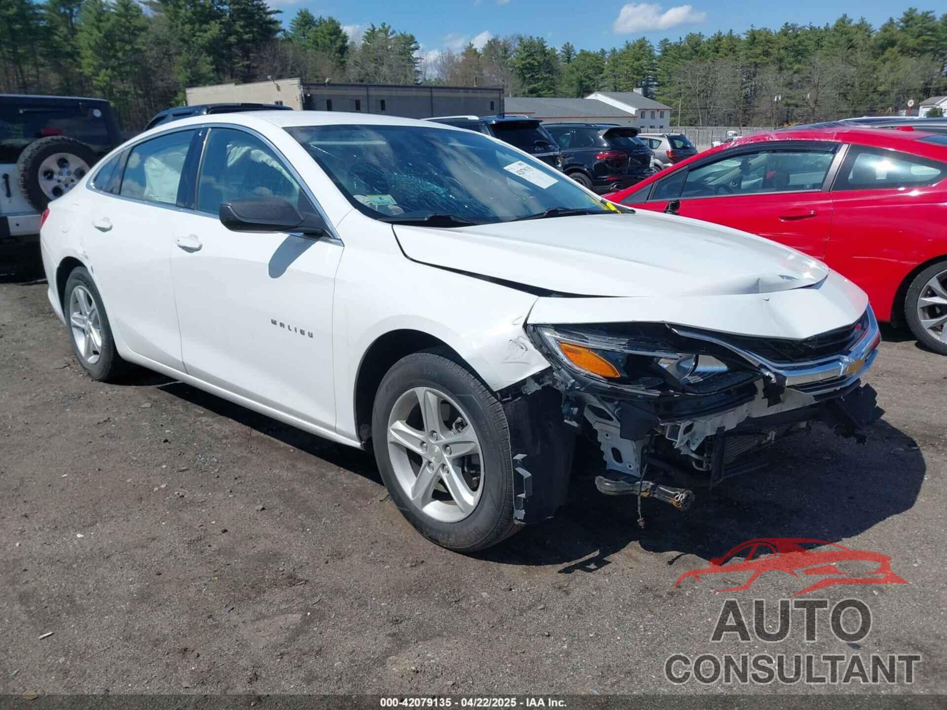 CHEVROLET MALIBU 2019 - 1G1ZB5ST2KF191547