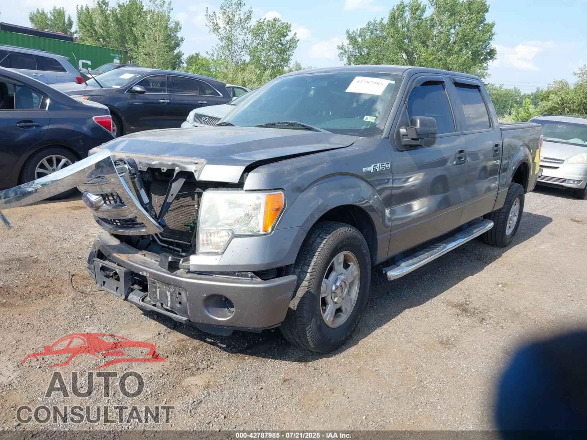 FORD F-150 2013 - 1FTFW1CF8DFD49411