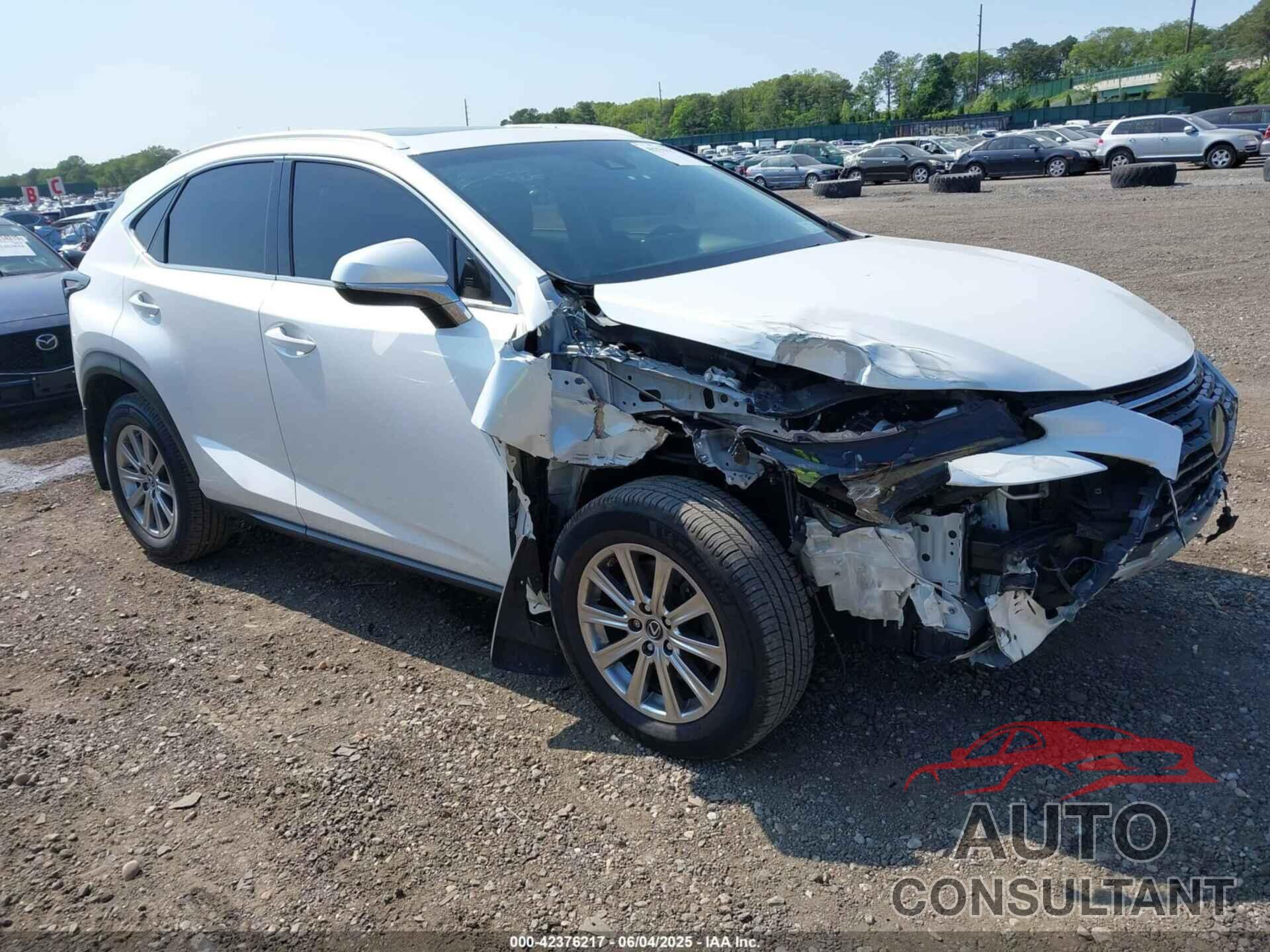 LEXUS NX 300 2019 - JTJBARBZ6K2197265
