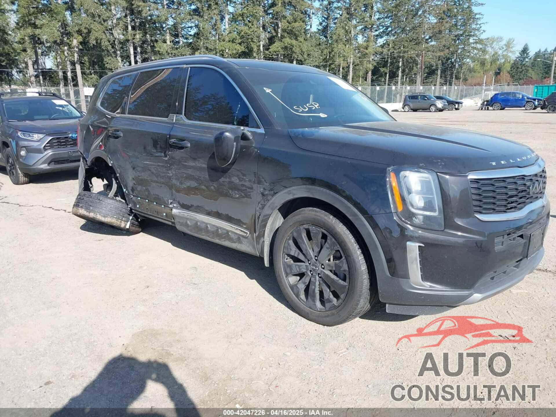 KIA TELLURIDE 2022 - 5XYP34HC0NG243269