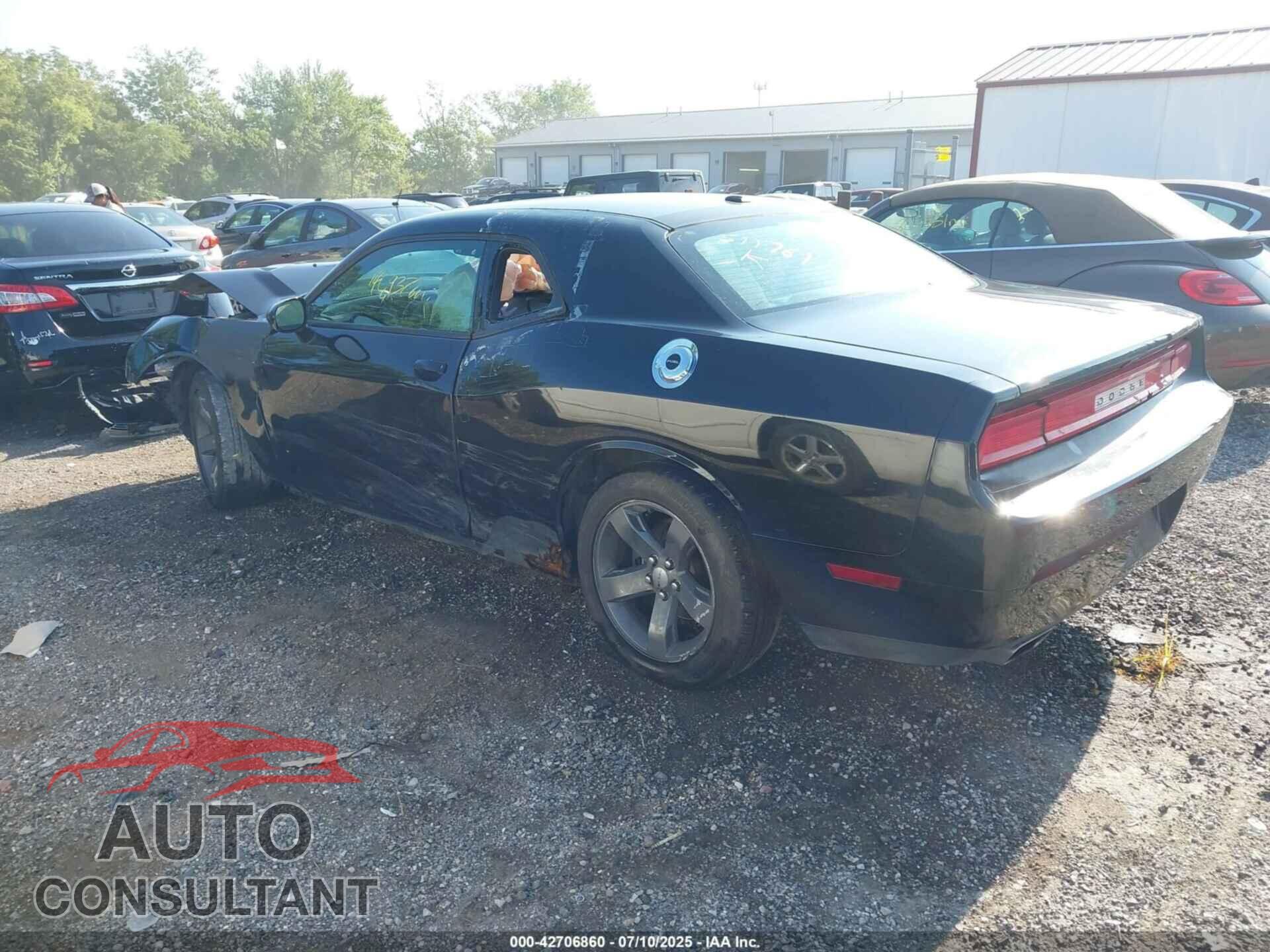 DODGE CHALLENGER 2013 - 2C3CDYAG2DH511761