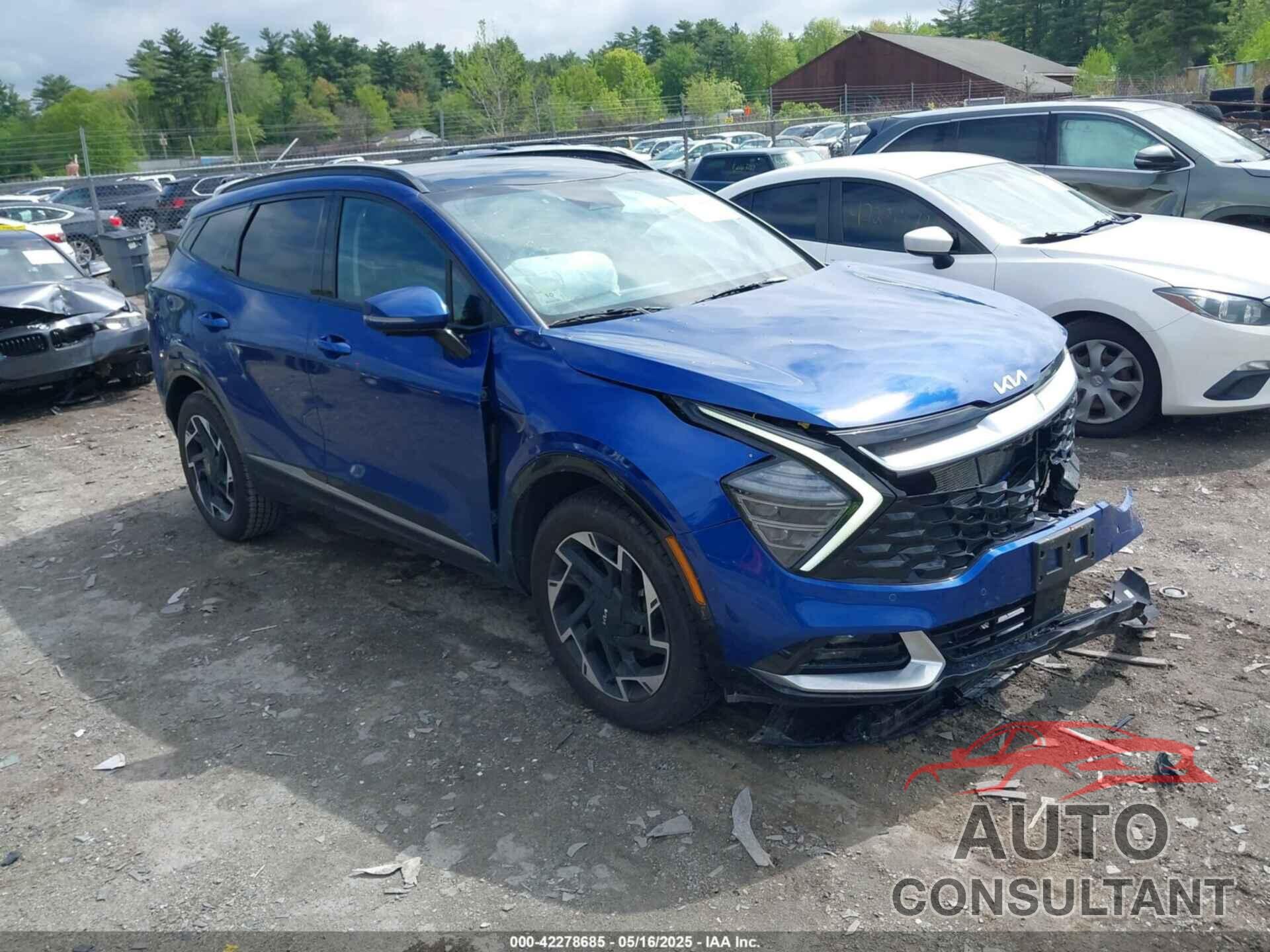 KIA SPORTAGE 2024 - 5XYK5CDF5RG155029
