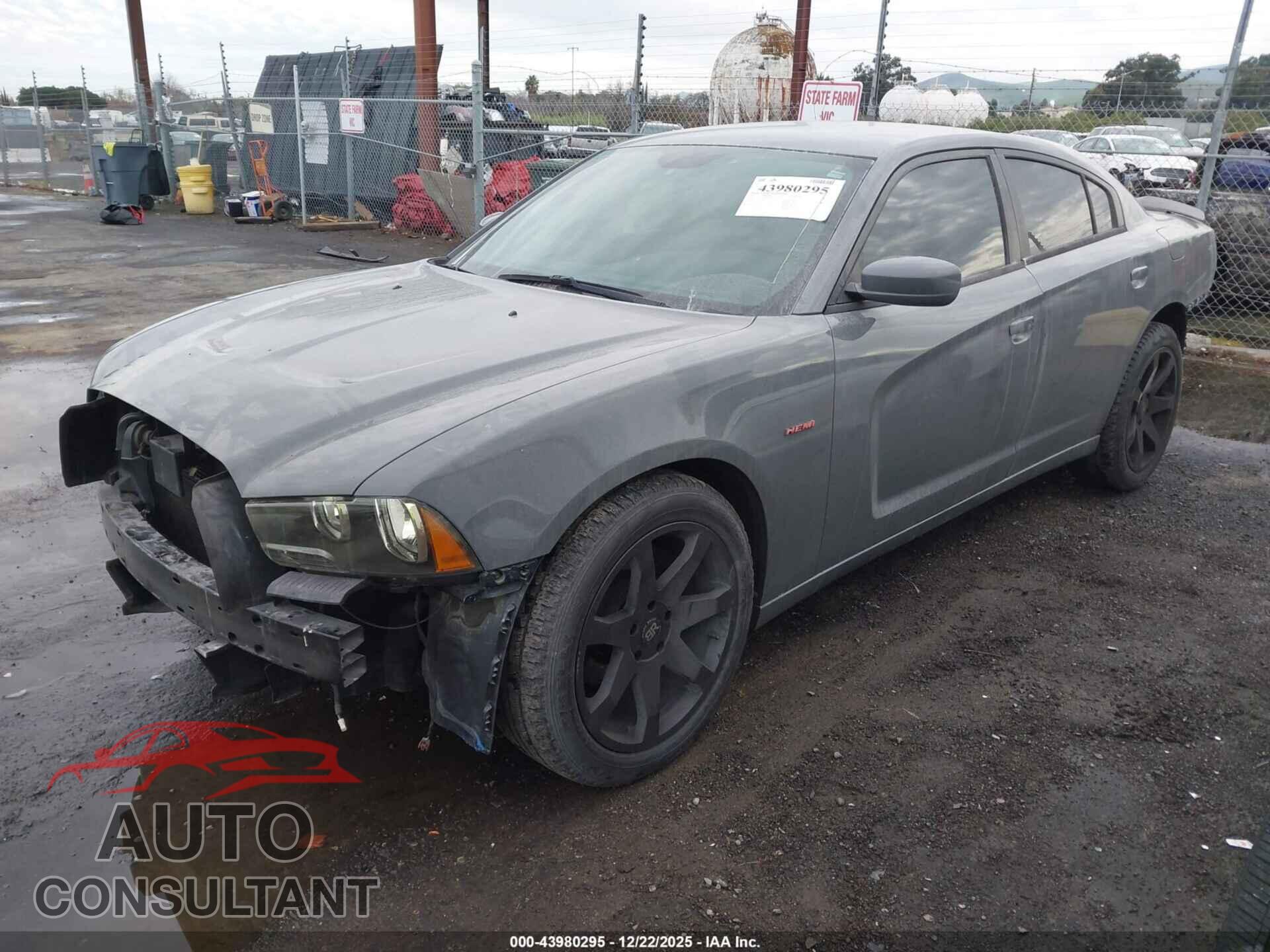 DODGE CHARGER 2013 - 2C3CDXAT0DH721797