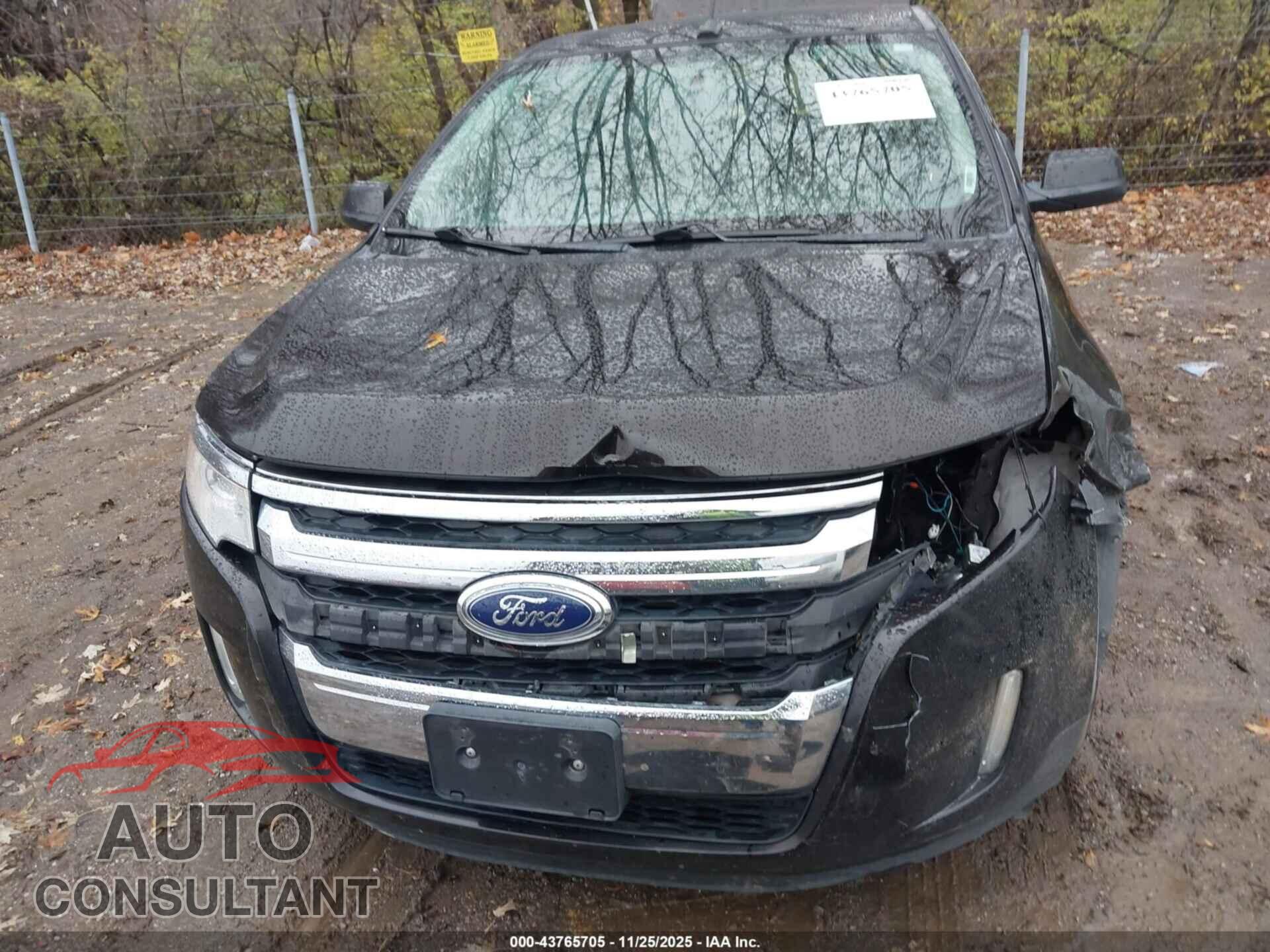 FORD EDGE 2013 - 2FMDK3K92DBA82547