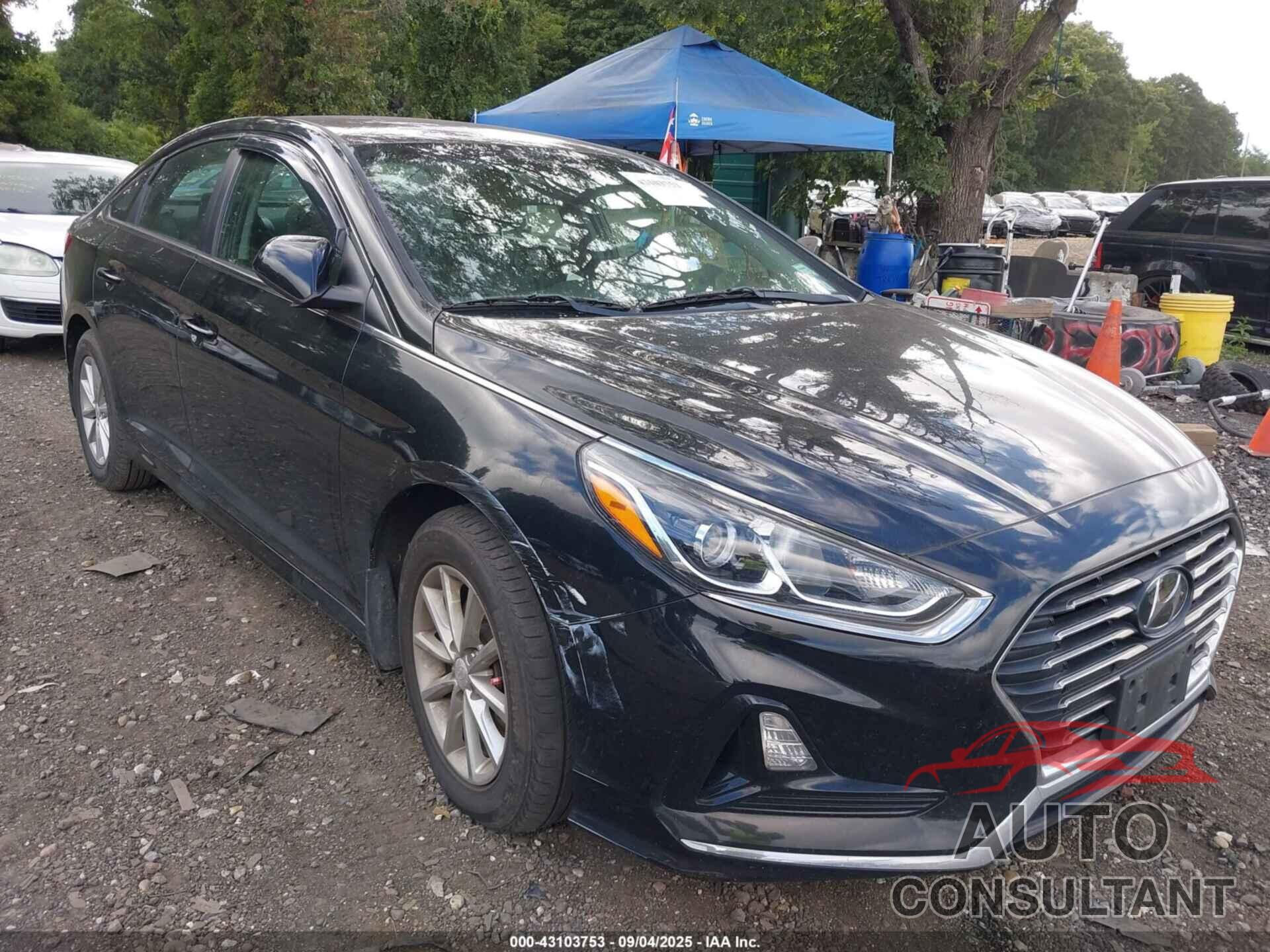 HYUNDAI SONATA 2019 - 5NPE24AF1KH805909