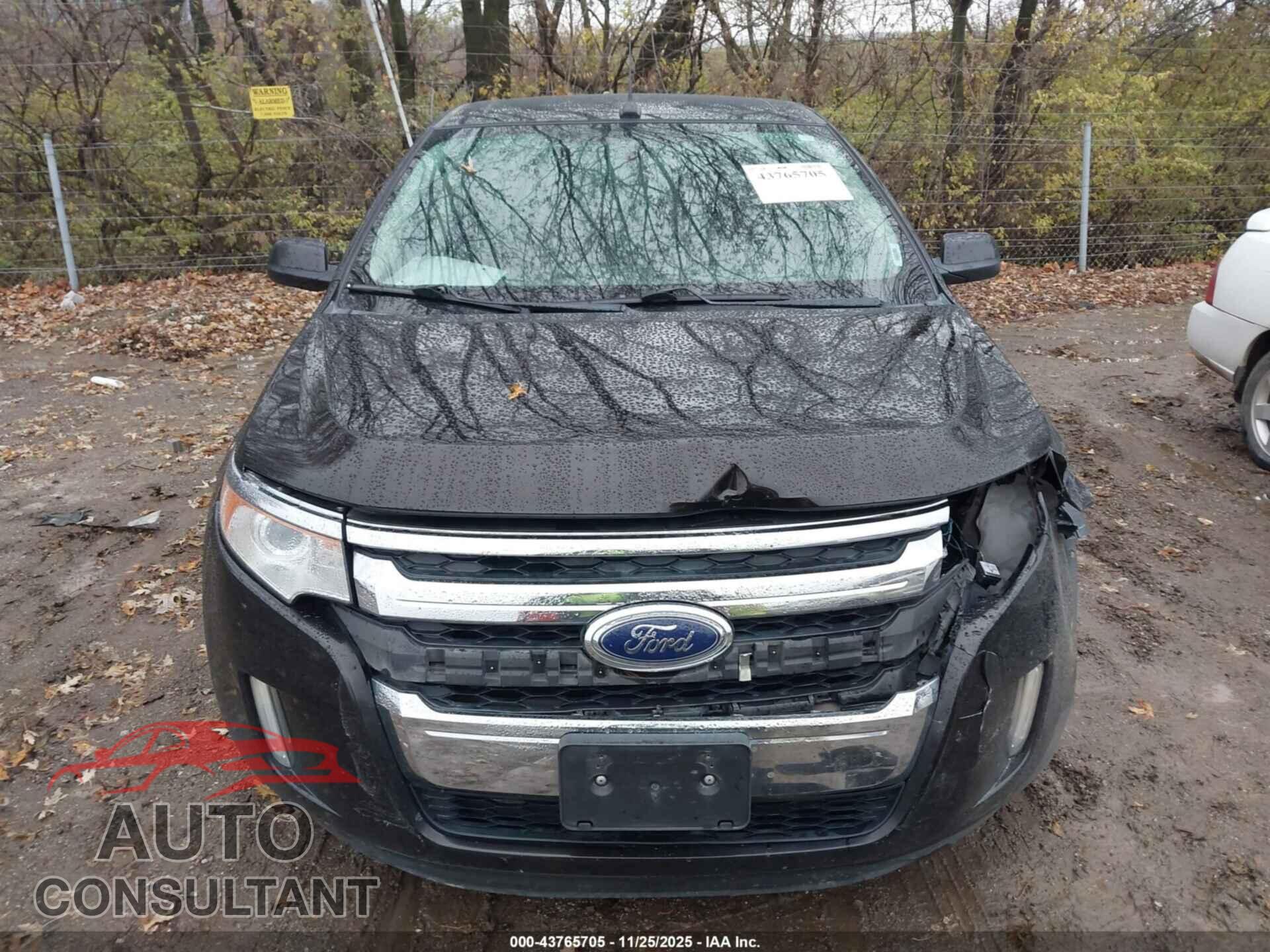 FORD EDGE 2013 - 2FMDK3K92DBA82547