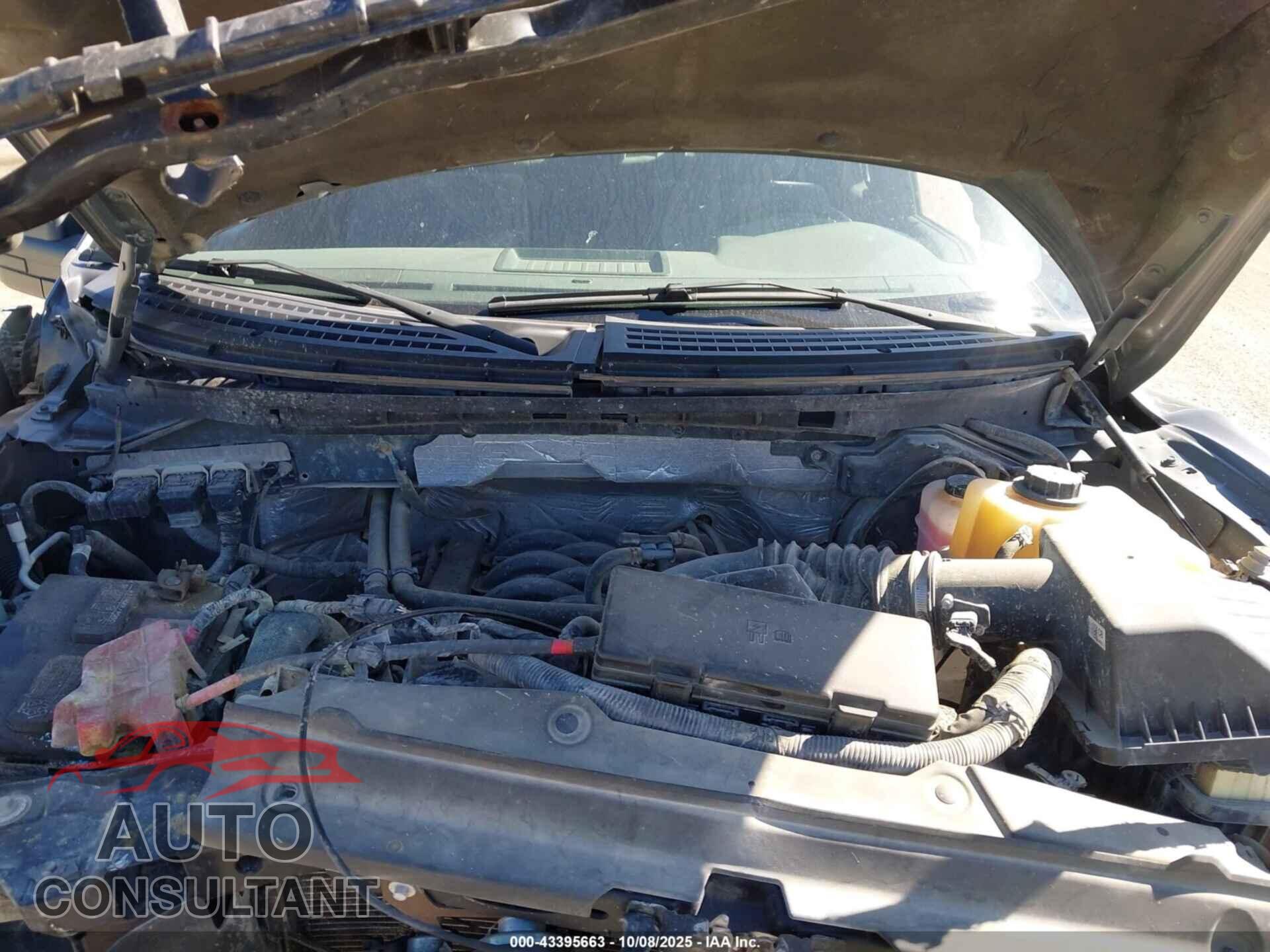 FORD F-150 2013 - 1FTFX1EF3DFB10097