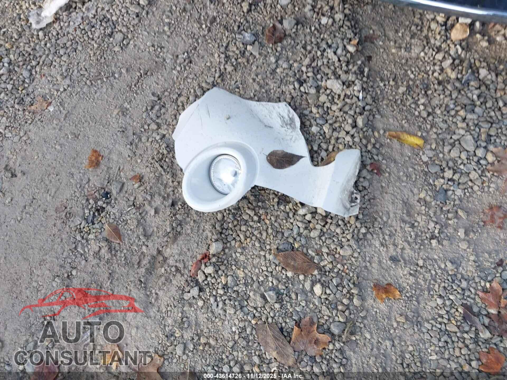 FORD ESCAPE 2011 - 1FMCU0E71BKC03165