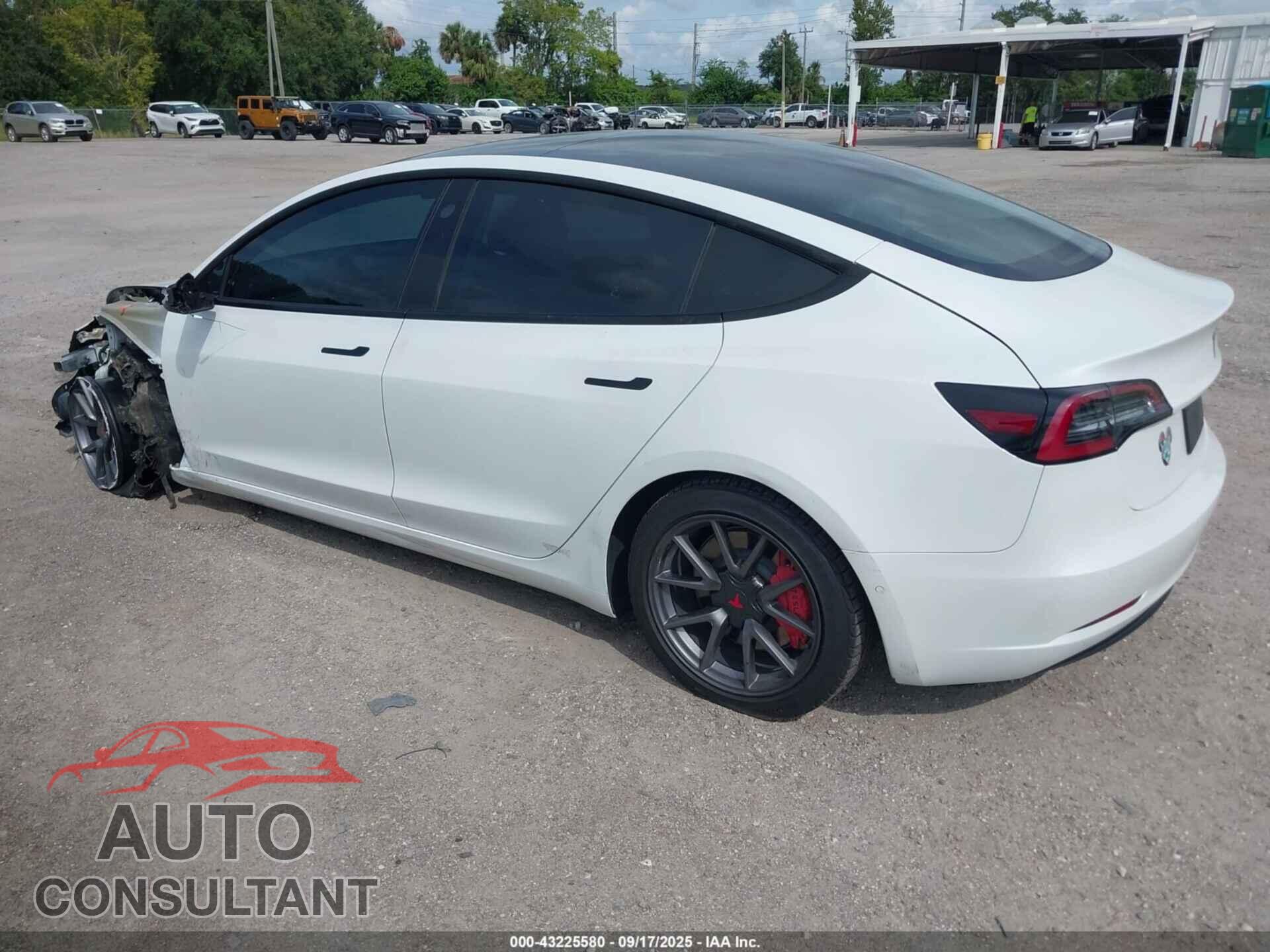 TESLA MODEL 3 2021 - 5YJ3E1EA1MF992100