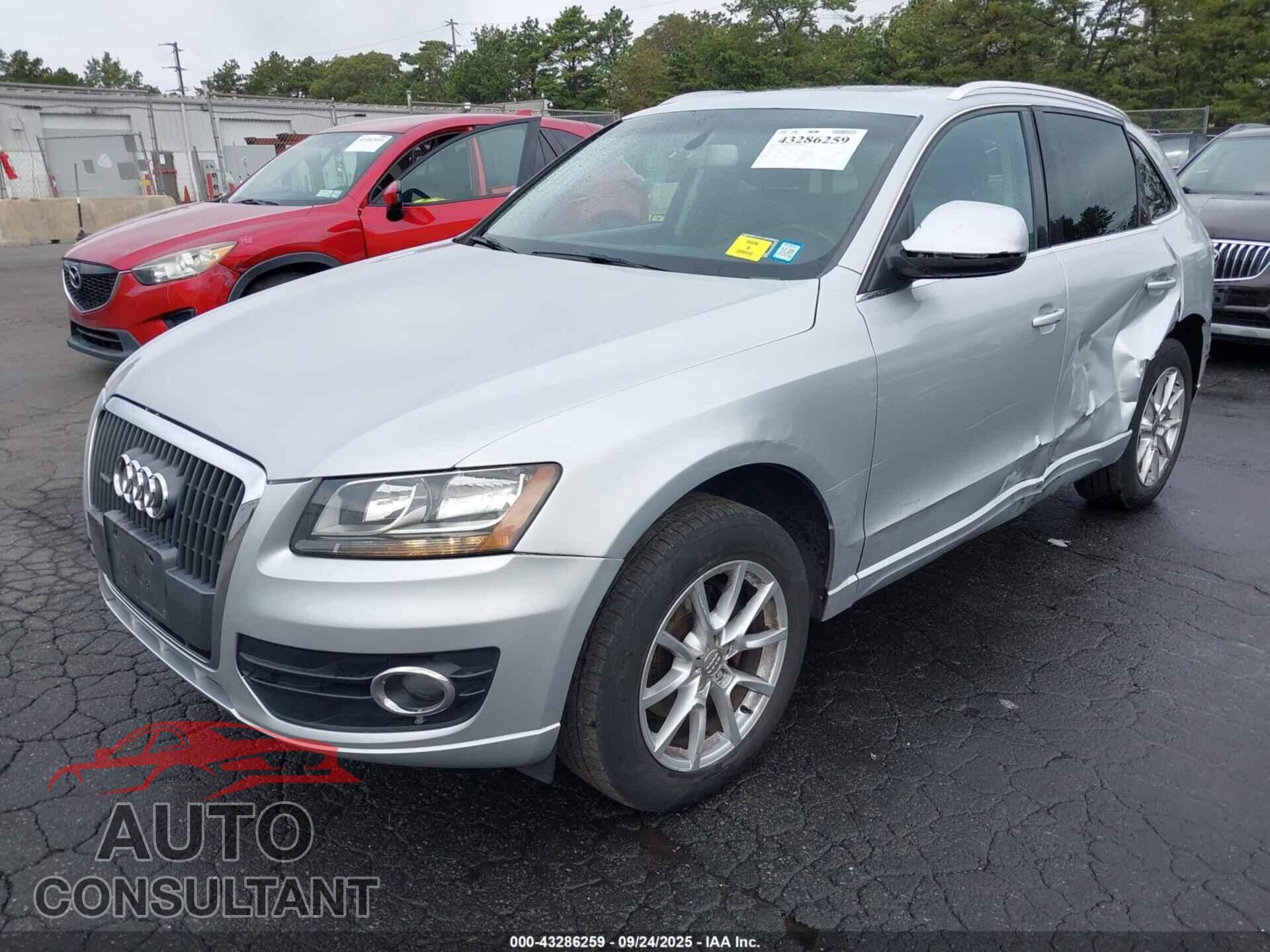 AUDI Q5 2011 - WA1CFAFPXBA010421