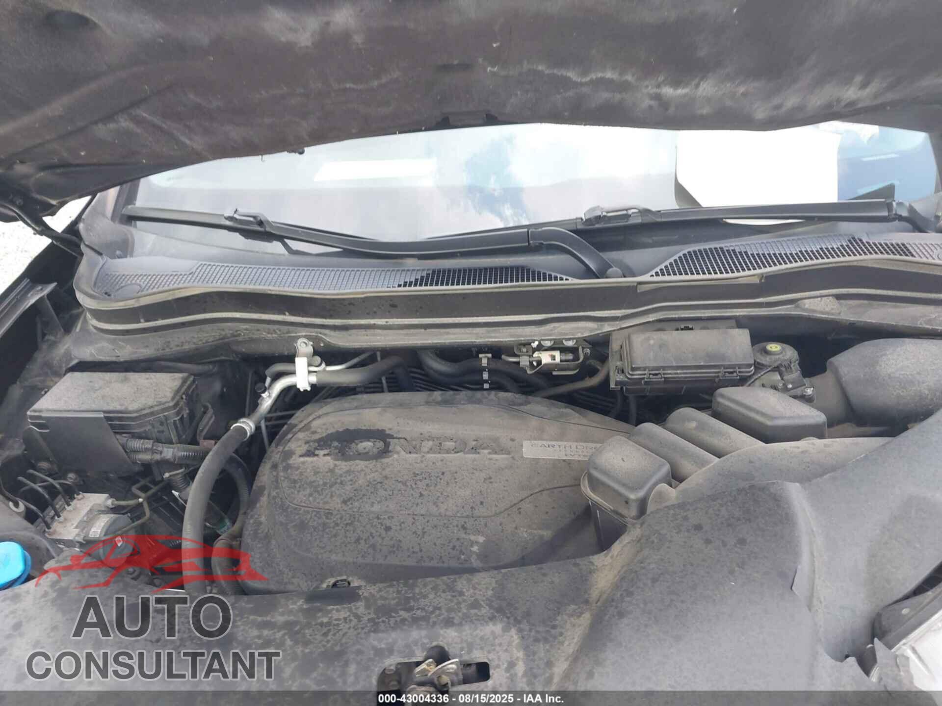 HONDA RIDGELINE 2019 - 5FPYK3F16KB035233