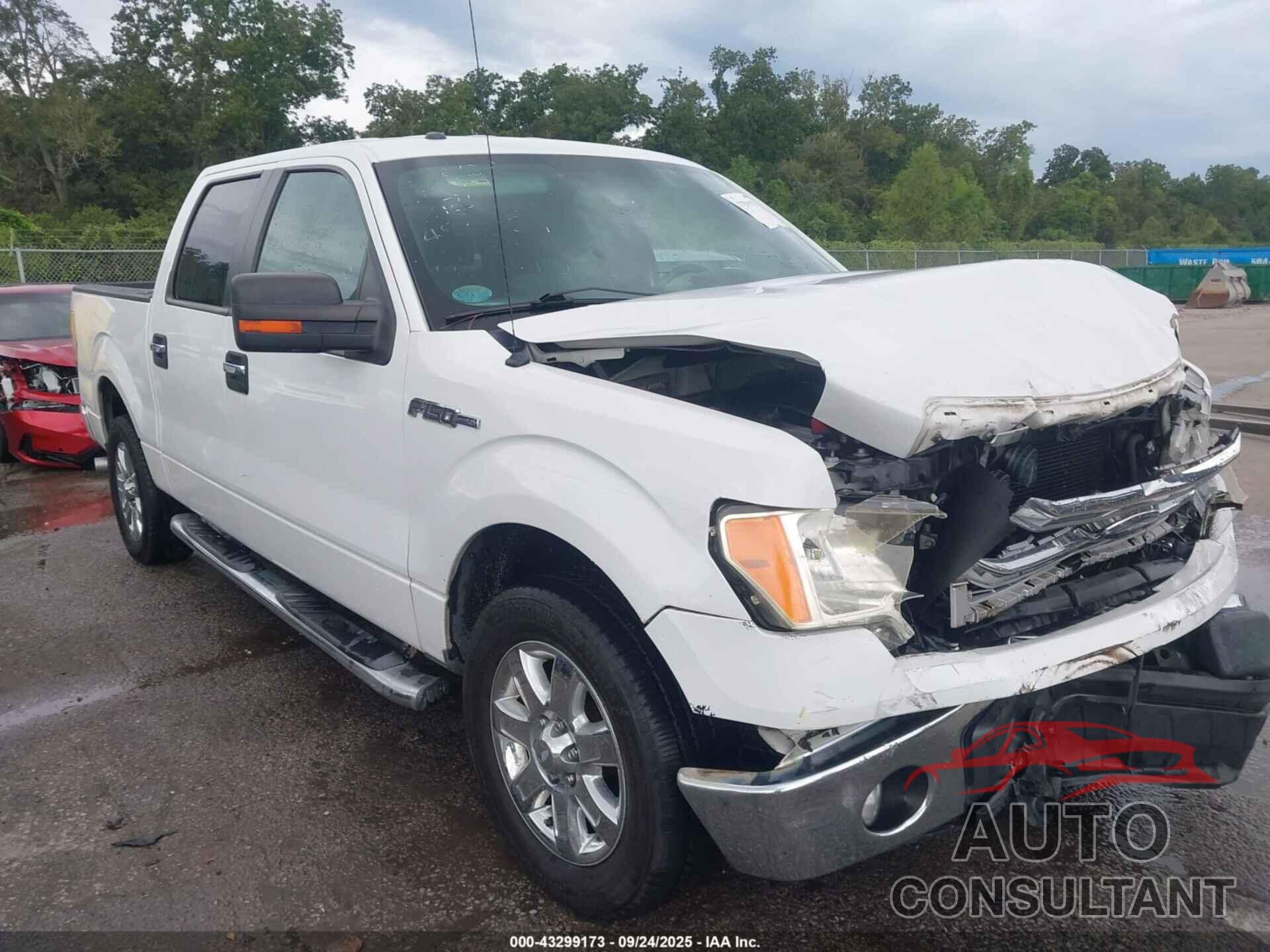 FORD F-150 2013 - 1FTFW1CF0DFA86251
